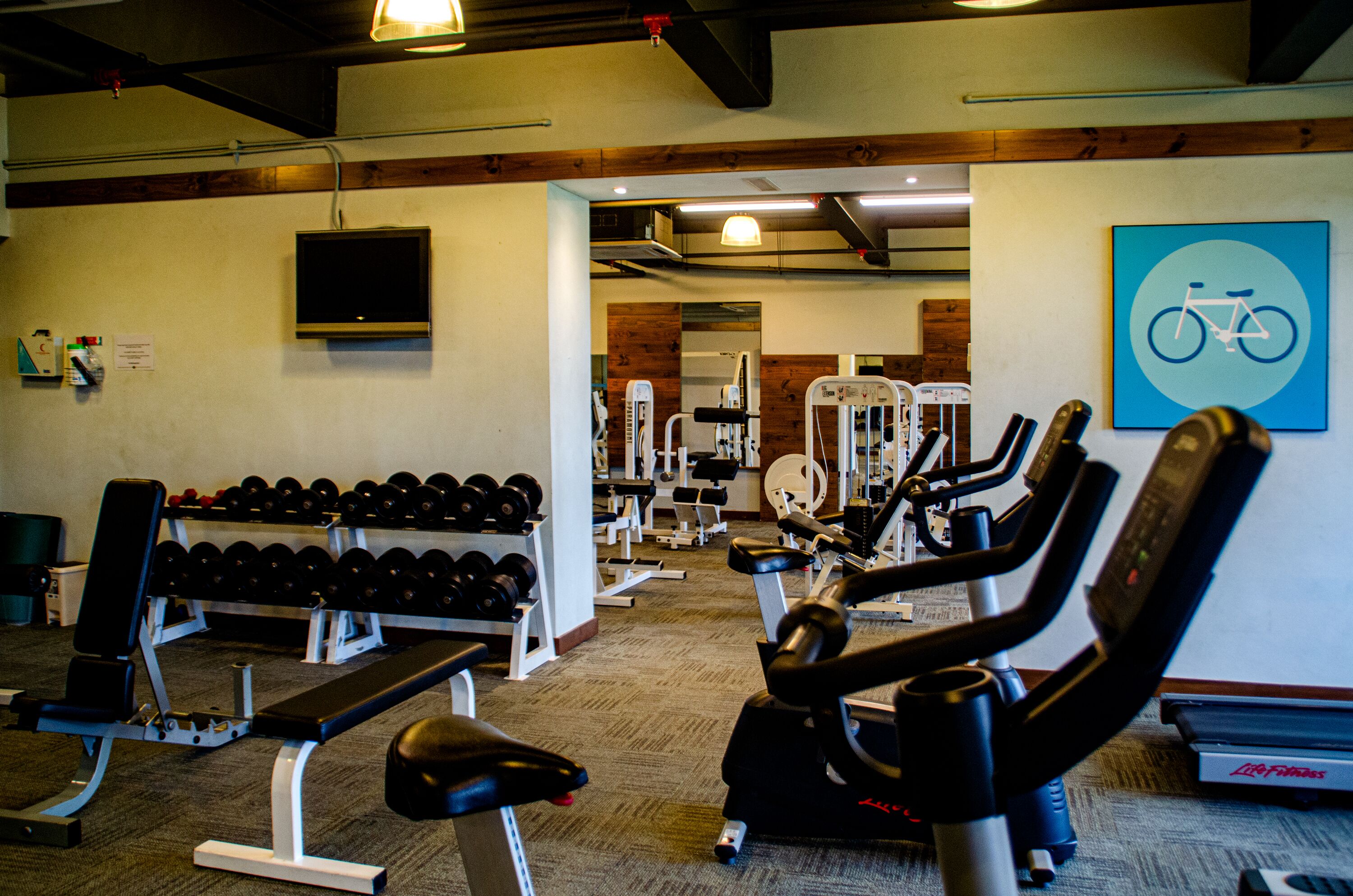 Un gimnasio equipado con varios aparatos de ejercicio, incluyendo mancuernas, bancos y máquinas de cardio.