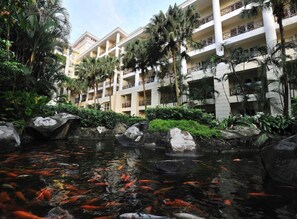Vista al jardín