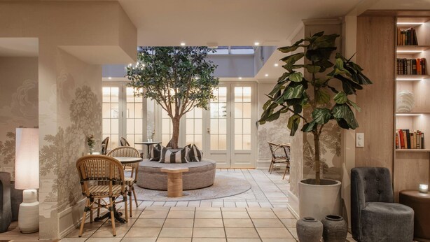 Amplia sala de estar con un árbol grande, asientos redondos y una estantería.