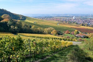 A vineyard with rows of grapevines, a town in the background, and a hilly landscape. - Best Western Plus Hotel Fellbach-Stuttgart (Fellbach)