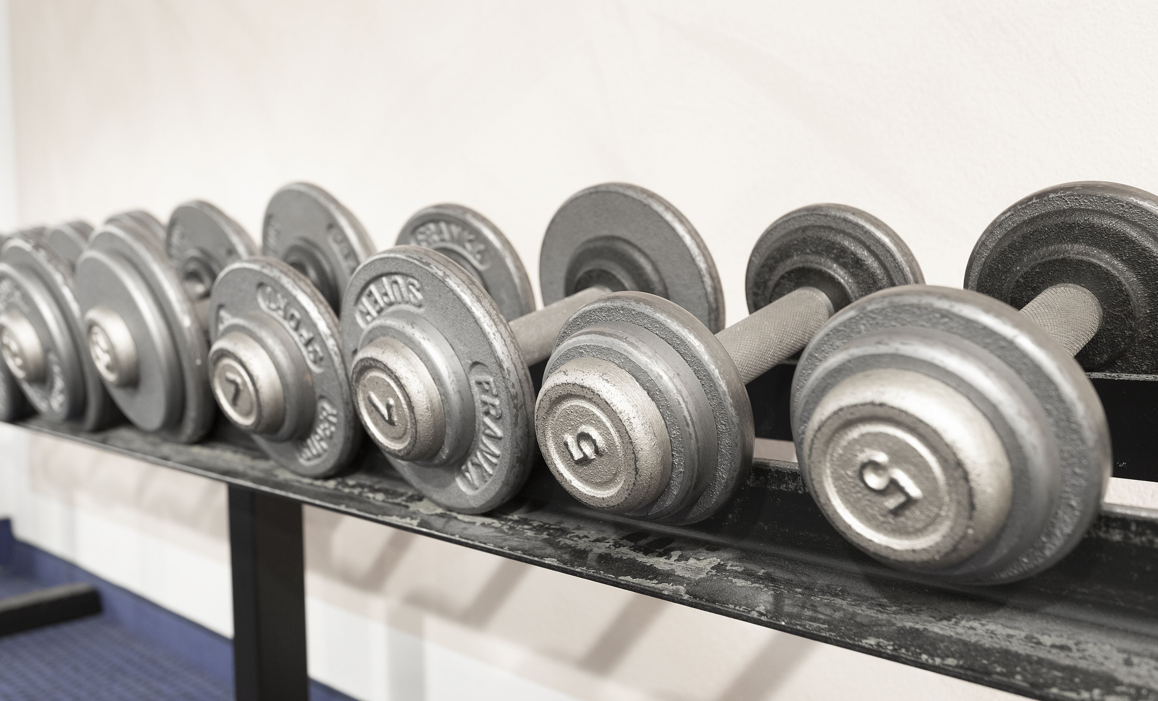 Photo - Michel Hotel Hodenhagen Serengeti