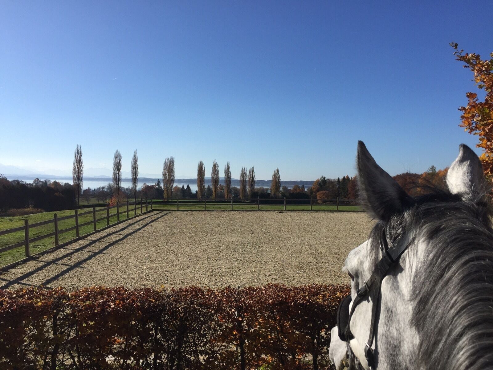 A horse in an outdoor arena with a clear view of a distant body of water and trees.