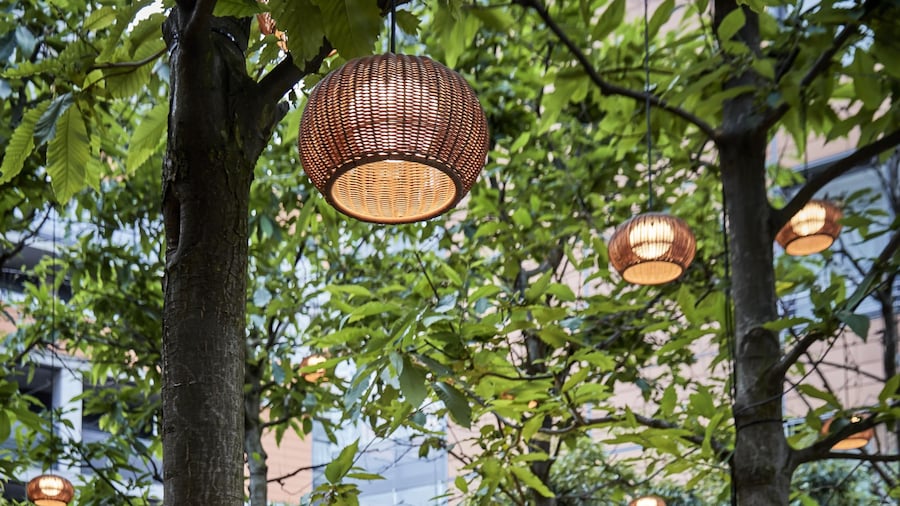 The Mandala Berlin, a Member of Design Hotel