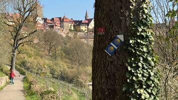 A tree-lined path with a wooden fence, a sign indicating a route number, and buildings in the background.