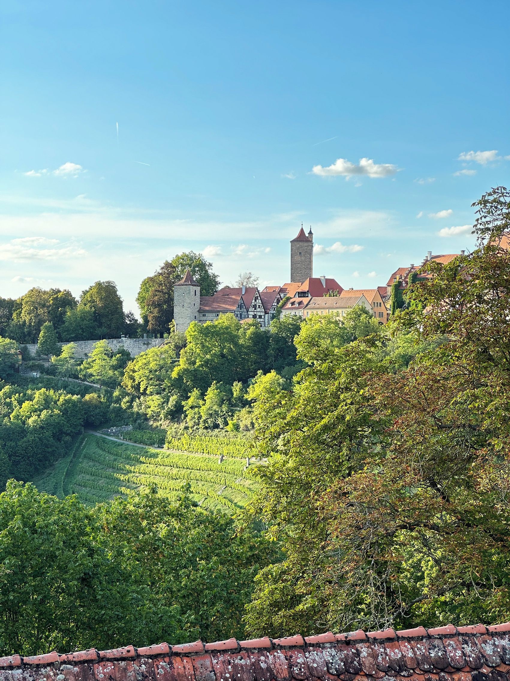 A vineyard with terraced fields and a historic tower in the background.