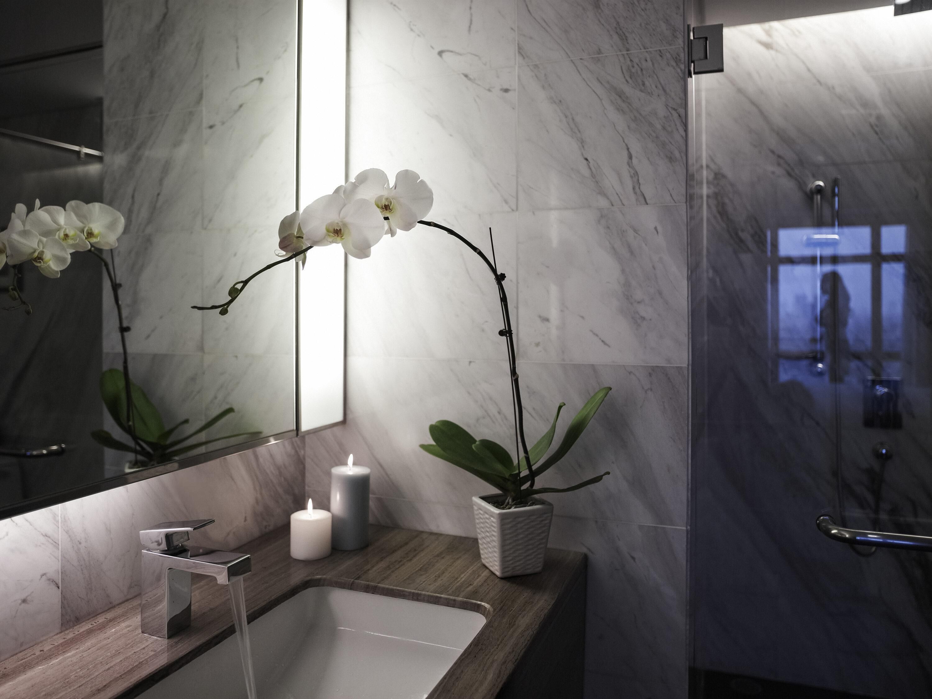 تجهيزات دش، مستلزمات للعناية الشخصية صديقة للبيئة، مجففات شعر