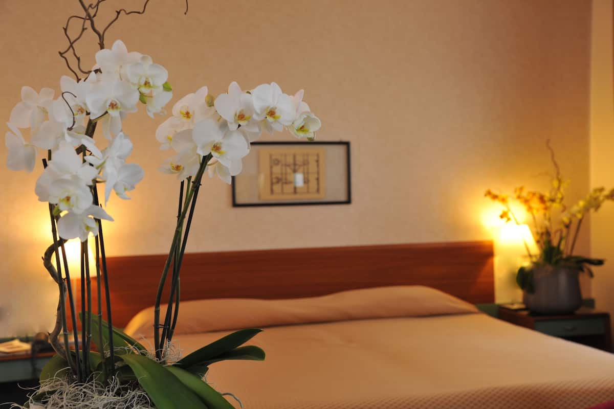 double room single use | minibar, in-room safe, desk, blackout curtains