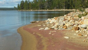A beach with a rocky shoreline and a forest in the background.