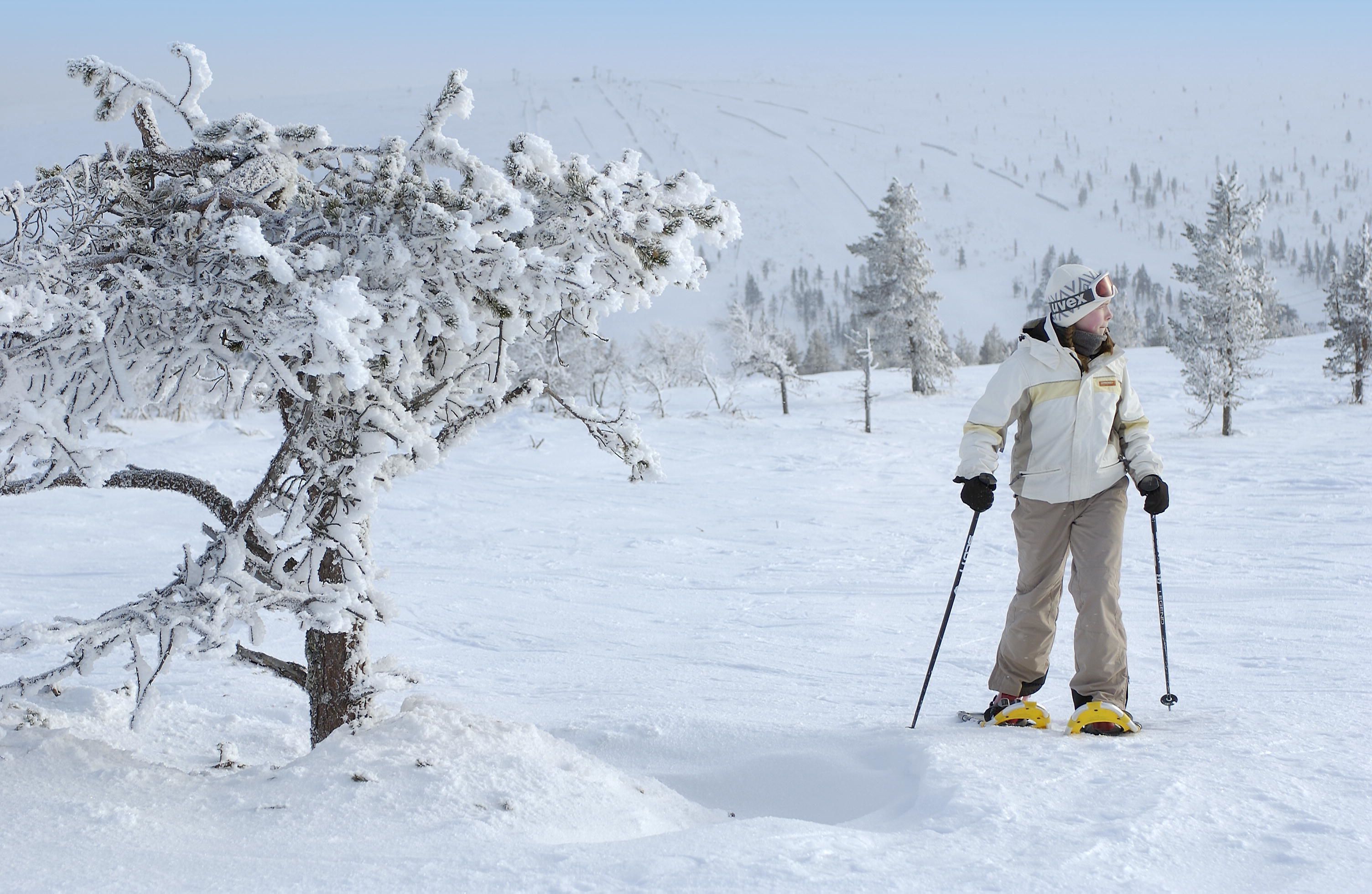 A person skiing in a snowy landscape with trees and a clear sky.