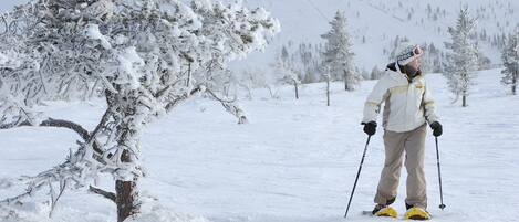 Eine Person fährt Ski in einer verschneiten Landschaft mit Bäumen und blauem Himmel.