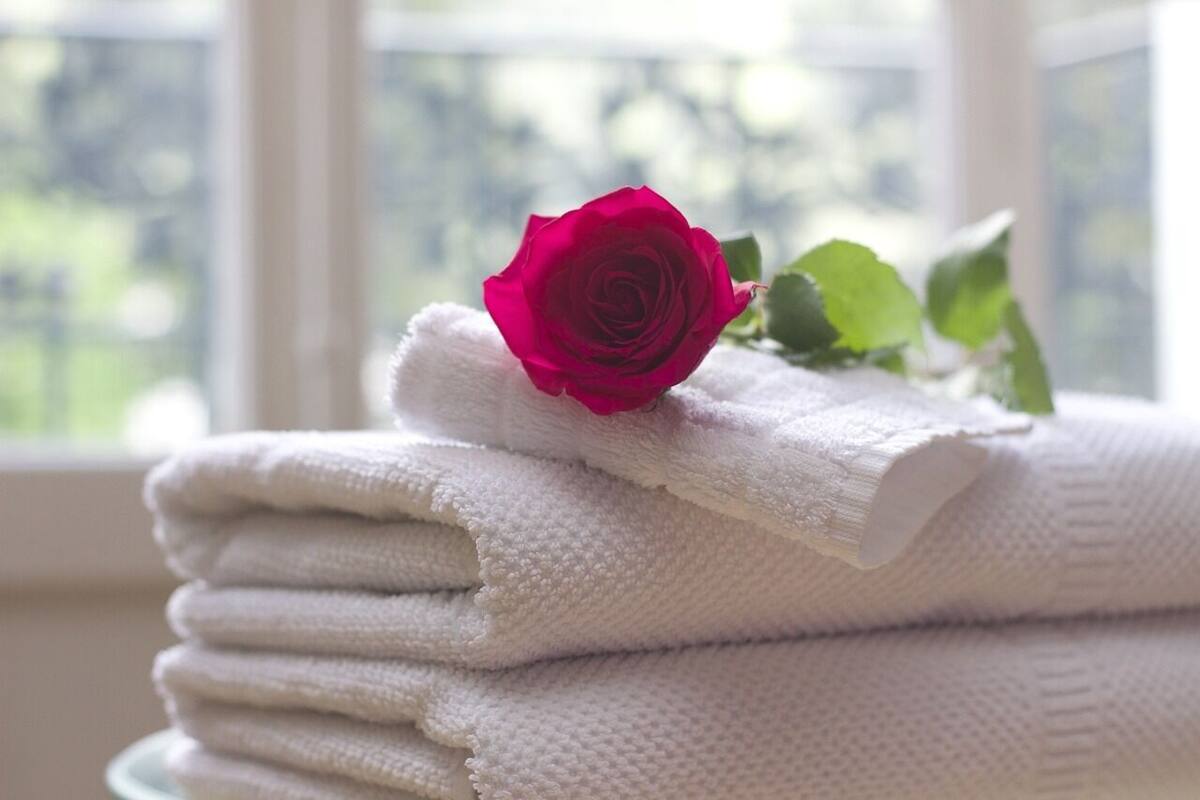 Une pile de serviettes blanches sur laquelle repose une seule rose rouge, le tout placé sur une surface près d’une fenêtre donnant sur un paysage extérieur flou.