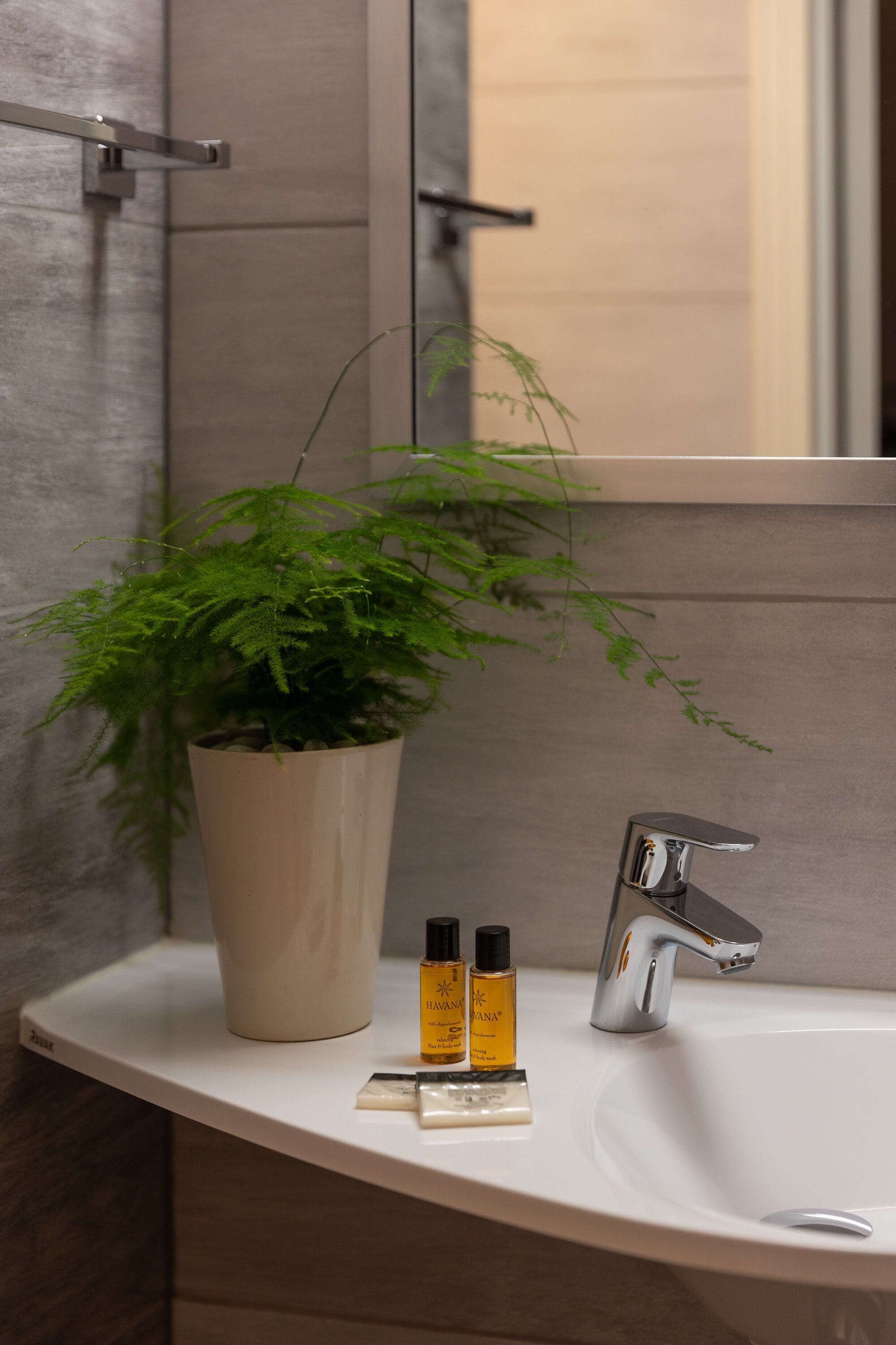Une salle de bain avec un lavabo blanc, une plante en pot et deux bouteilles de lotion.