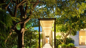 A cobblestone pathway leading to a covered walkway with a tree-lined path and a building entrance. - The Manor - New Delhi (New Delhi)