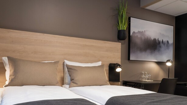 Un lit bien fait avec deux oreillers, une table de chevet avec une lampe, un tableau encadré au mur et une plante en pot.