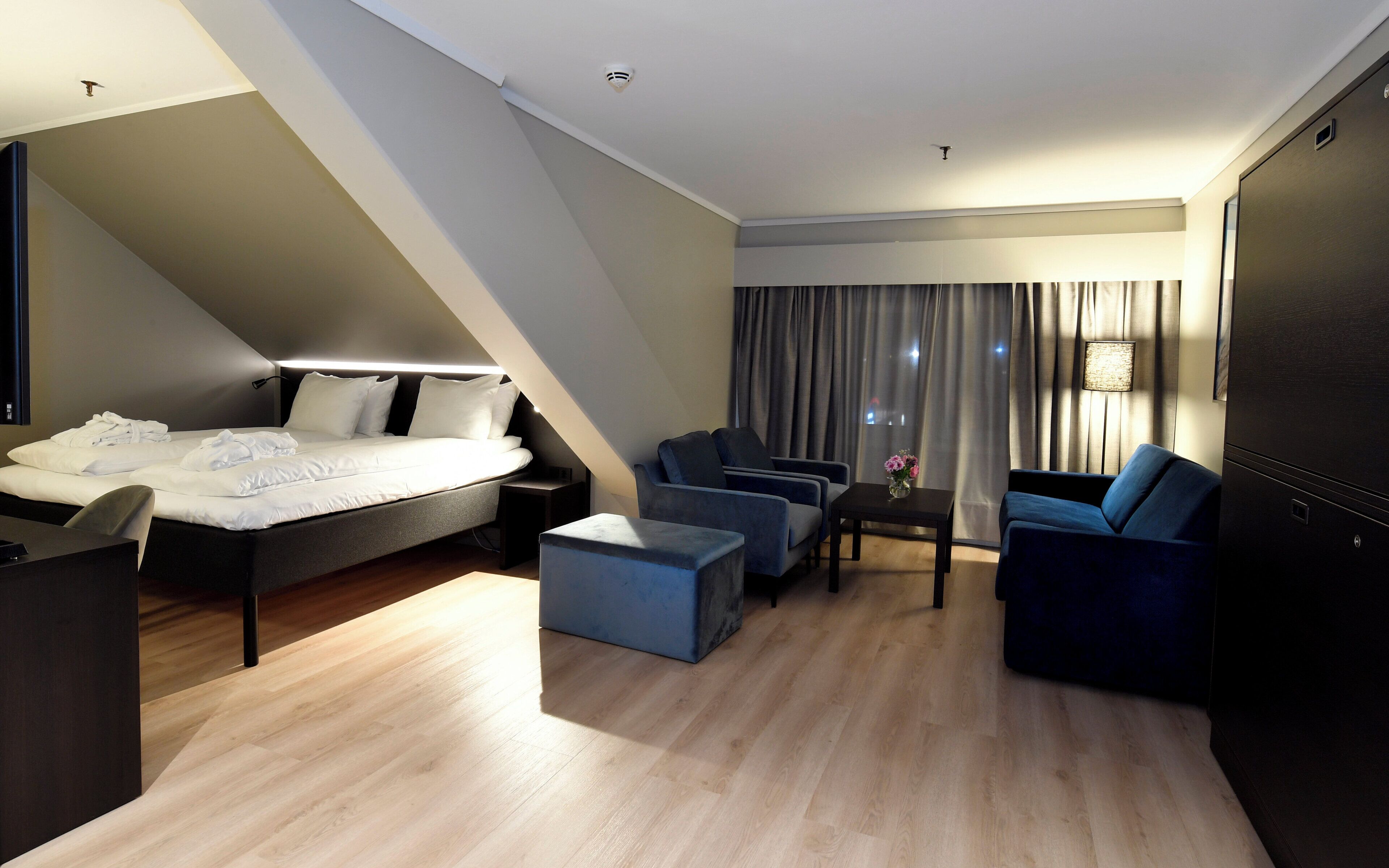 ミニバー、デスク、アイロン / アイロン台、WiFi (無料)