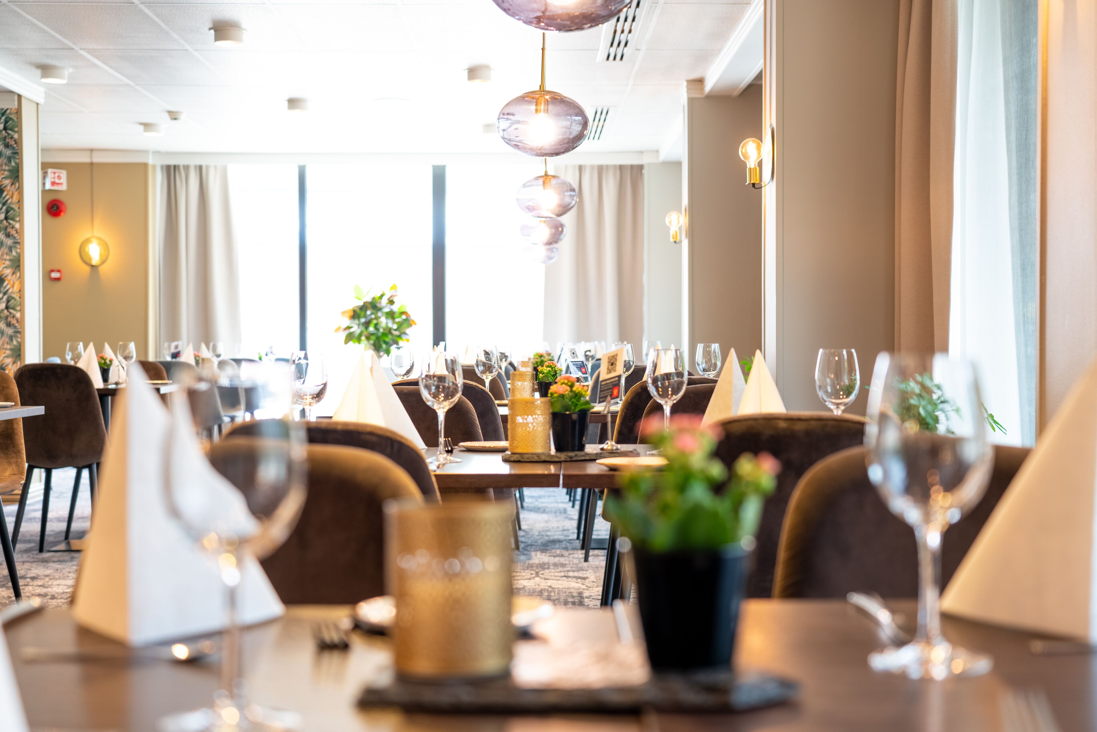 breakfast and dinner served, local cuisine