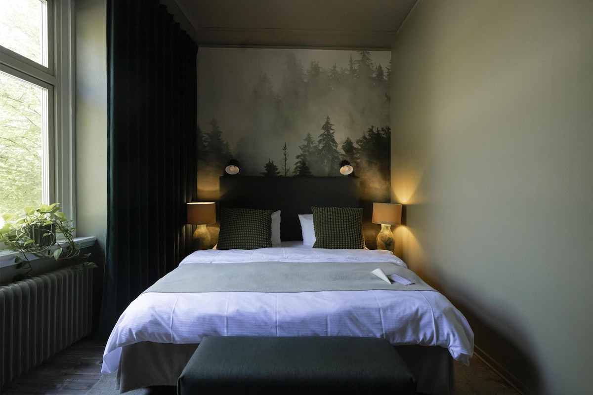 Habitación estándar, 1 cama King size, para no fumadores | Ropa de cama de alta calidad, minibar, escritorio y cortinas blackout