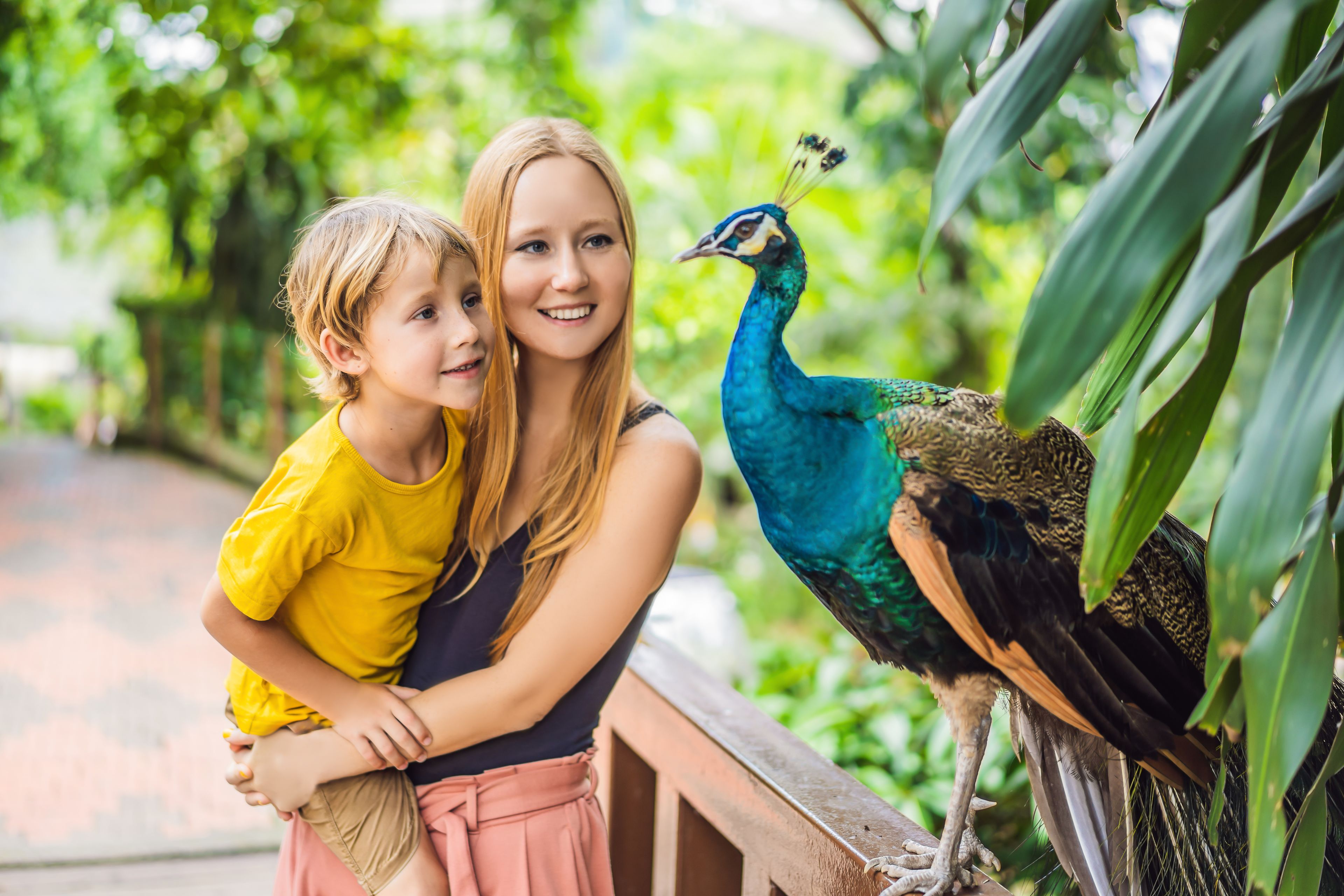 A person holding a child near a peacock in a lush, green environment.