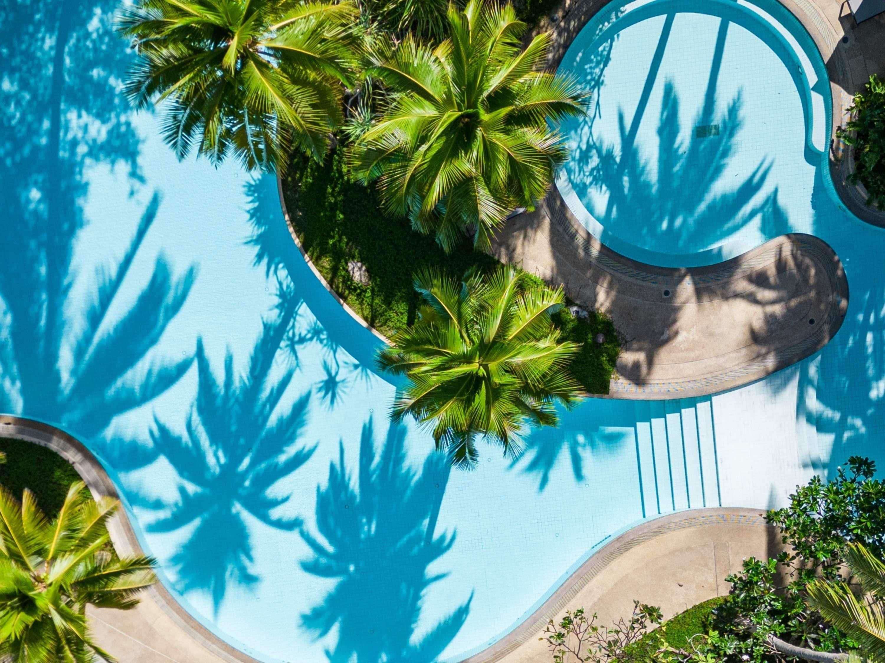 Vista aérea de una piscina rodeada de palmeras y un camino curvo.