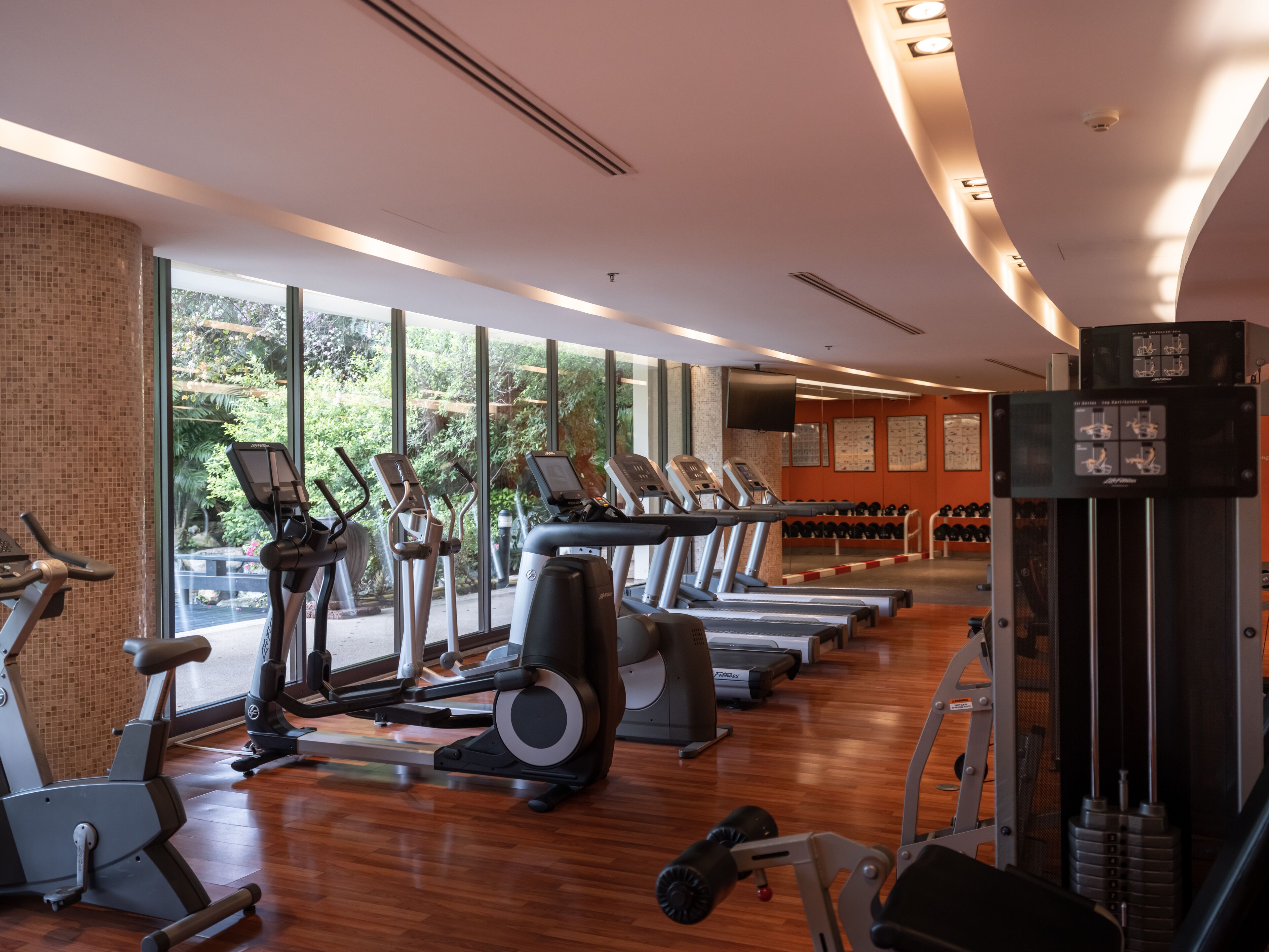 Un gimnasio con cintas de correr, elípticas y equipo de levantamiento de pesas.