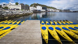 Ecotours - Atlantica (Alesund)