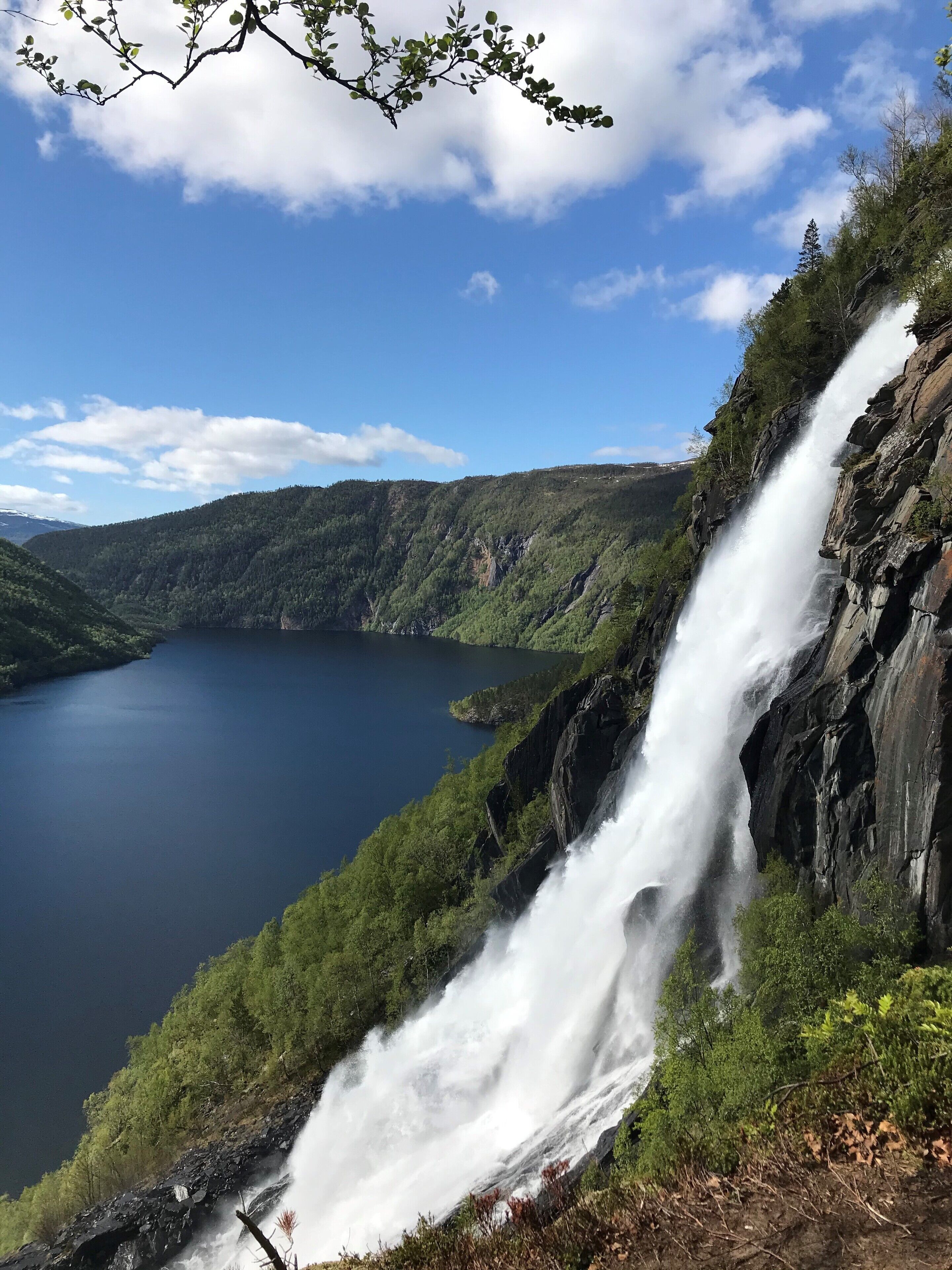 Une cascade se précipite le long d’une falaise rocheuse pour se déverser dans un lac paisible, entouré d’une forêt dense.