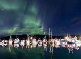 En småbåtshamn med båtar förtöjda under natten, vars silhuetter speglas i det stilla vattnet, under en stjärnklar himmel där norrskenet syns tydligt.