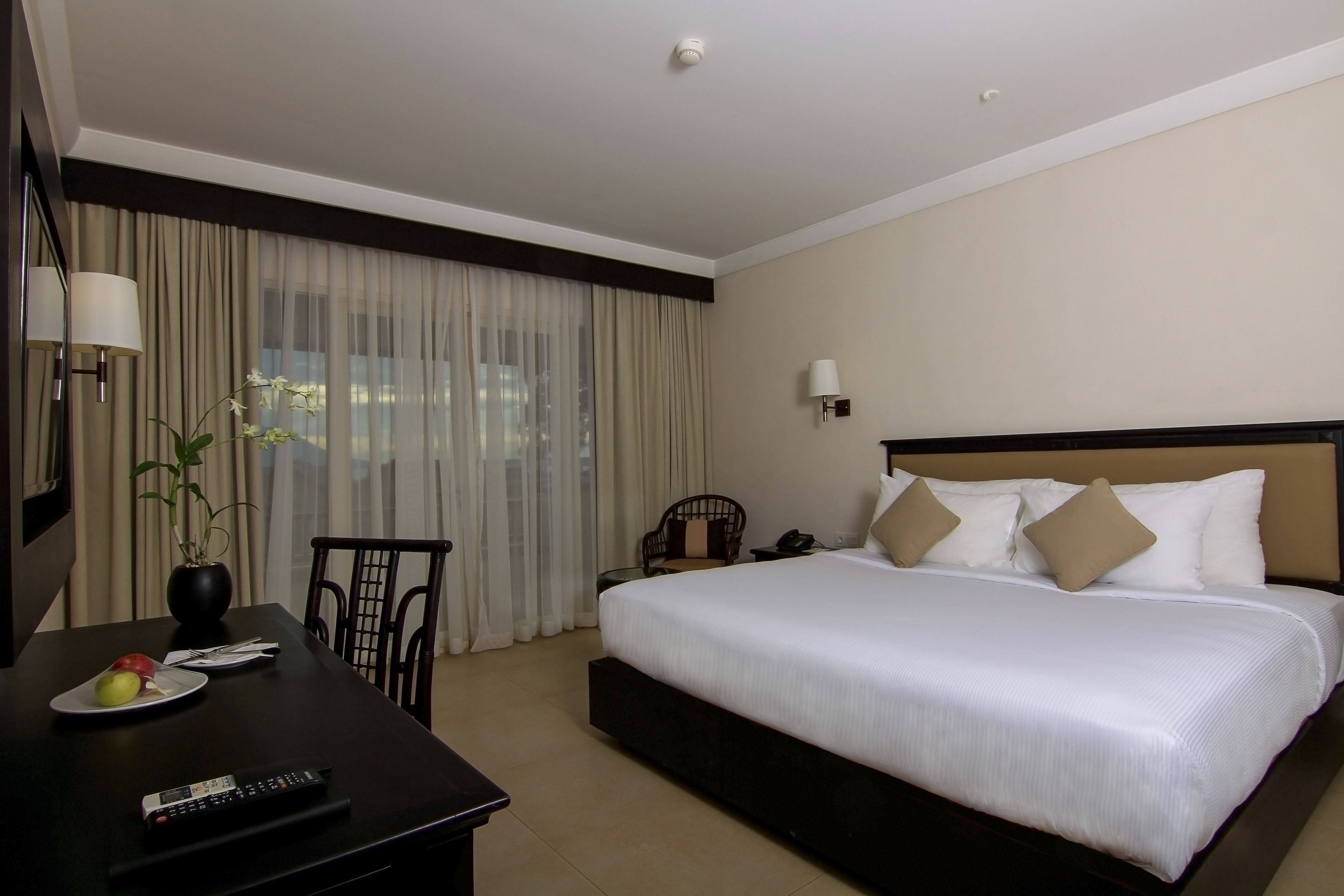 Habitación de hotel con una cama grande, un escritorio con un mando a distancia, una silla y una planta en maceta.