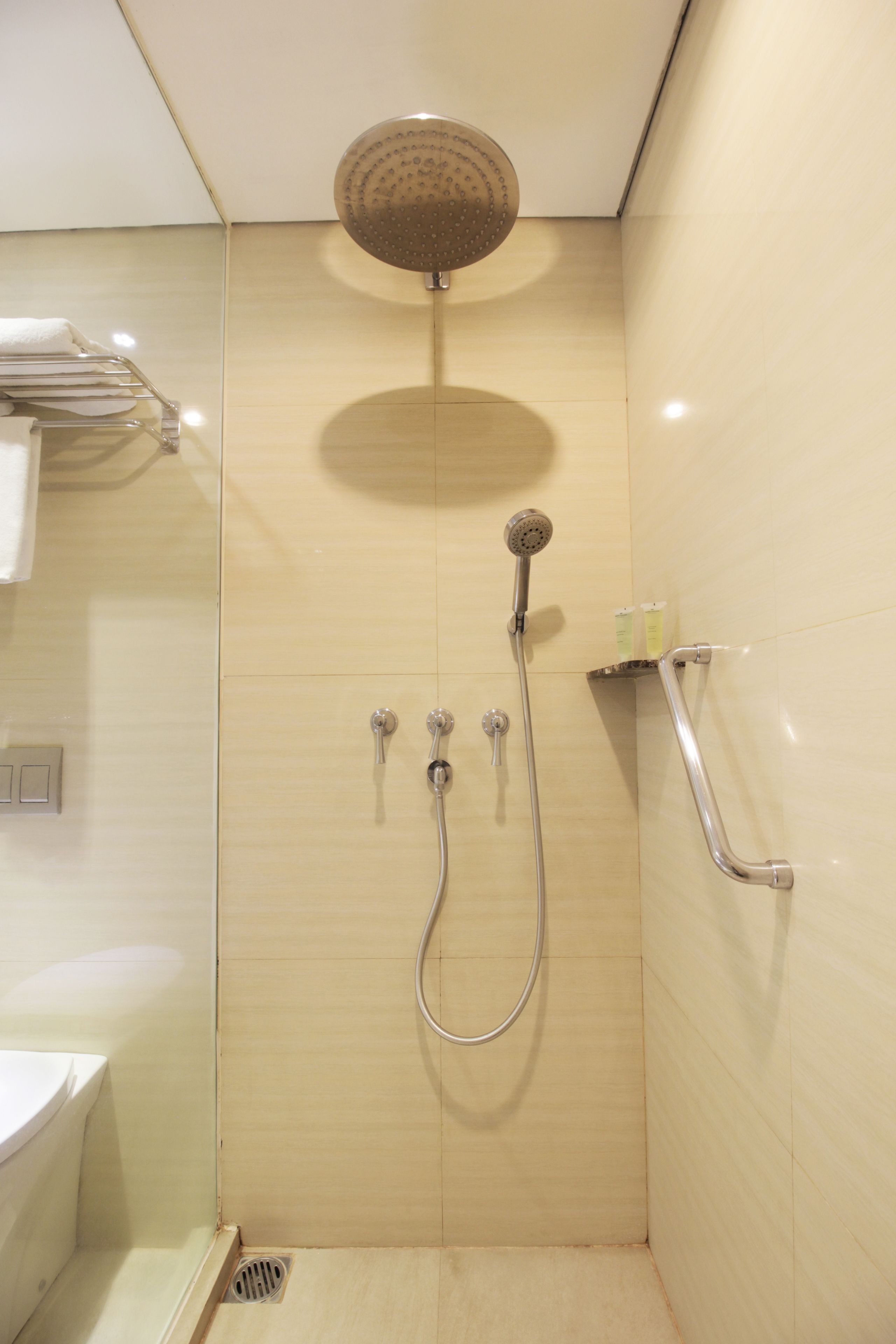 premier room, 1 king bed | bathroom shower