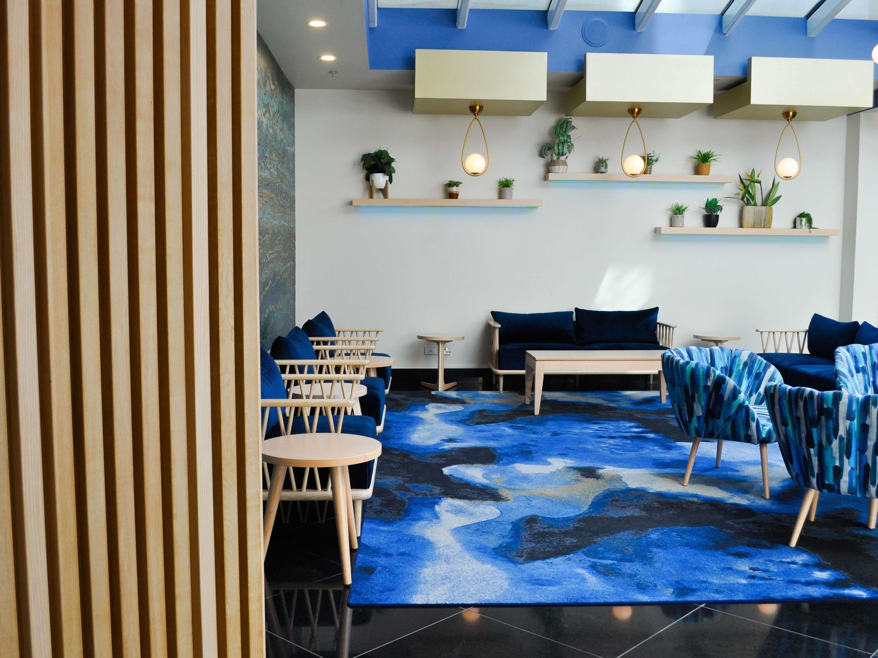 A modern lounge area with a blue abstract rug, wooden furniture, and plants on shelves.