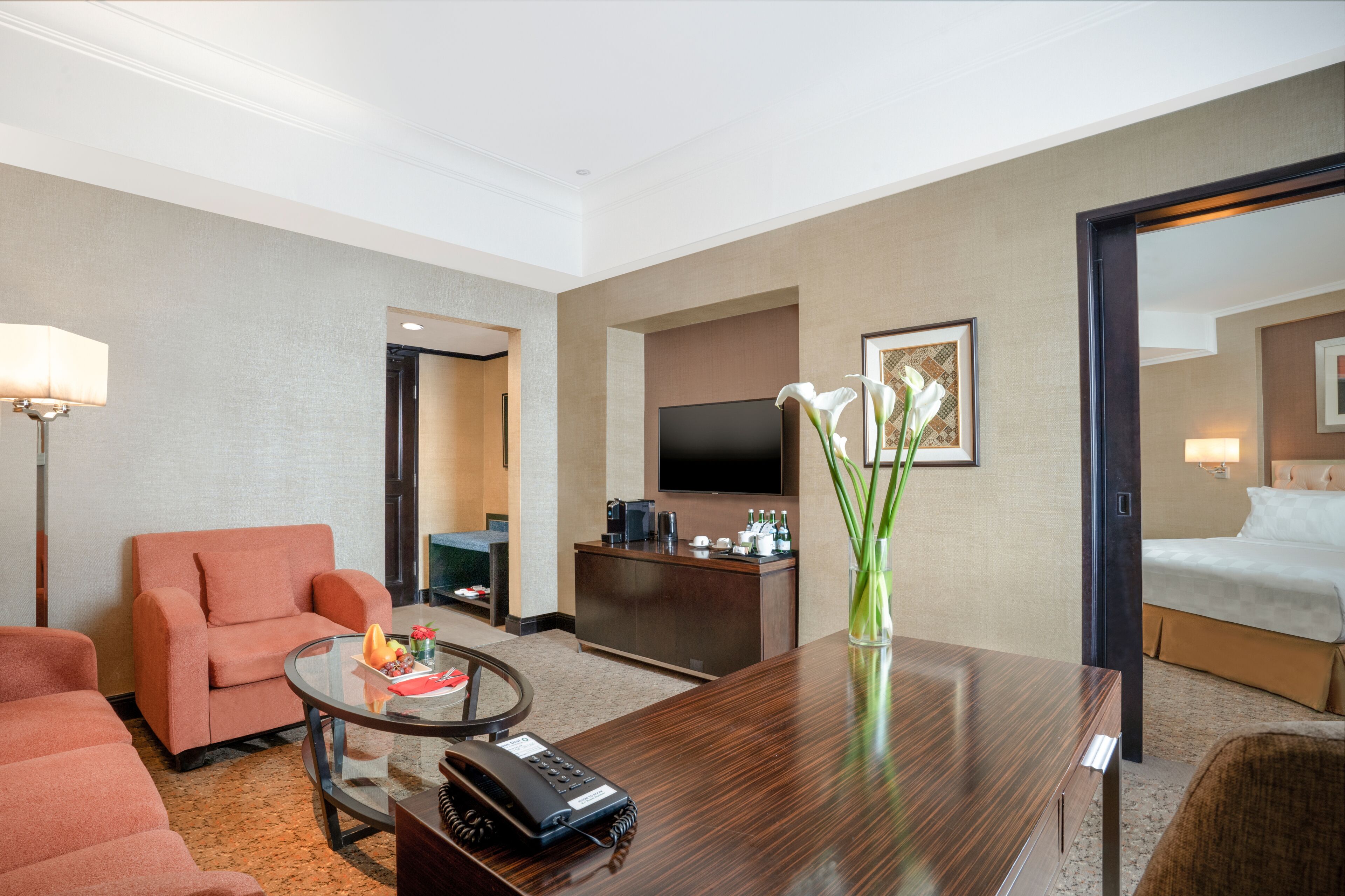 Junior Suite | Living area | LCD TV