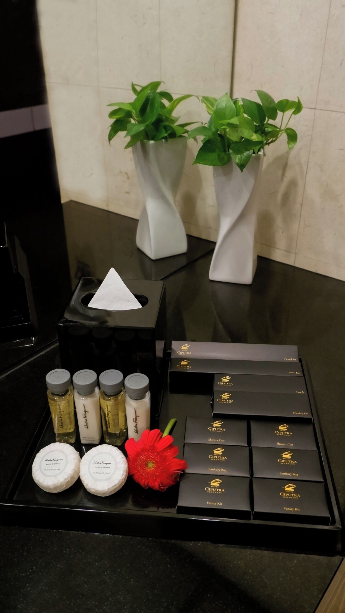 Un comptoir de salle de bain d’hôtel avec des articles de toilette, une boîte de mouchoirs et deux plantes en pot.