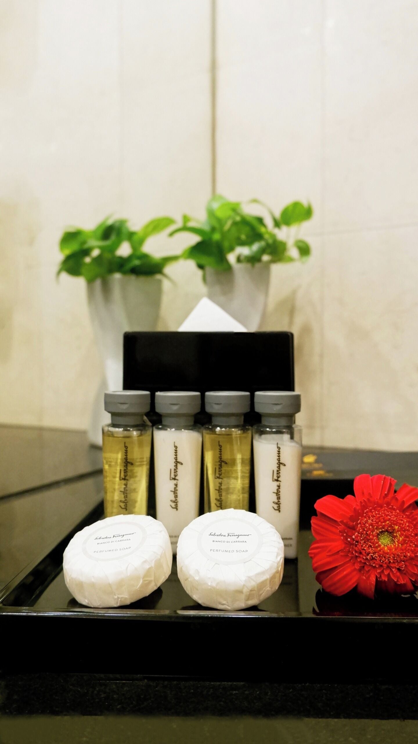 Foto - Hotel Ciputra Semarang managed by Swiss-Belhotel International