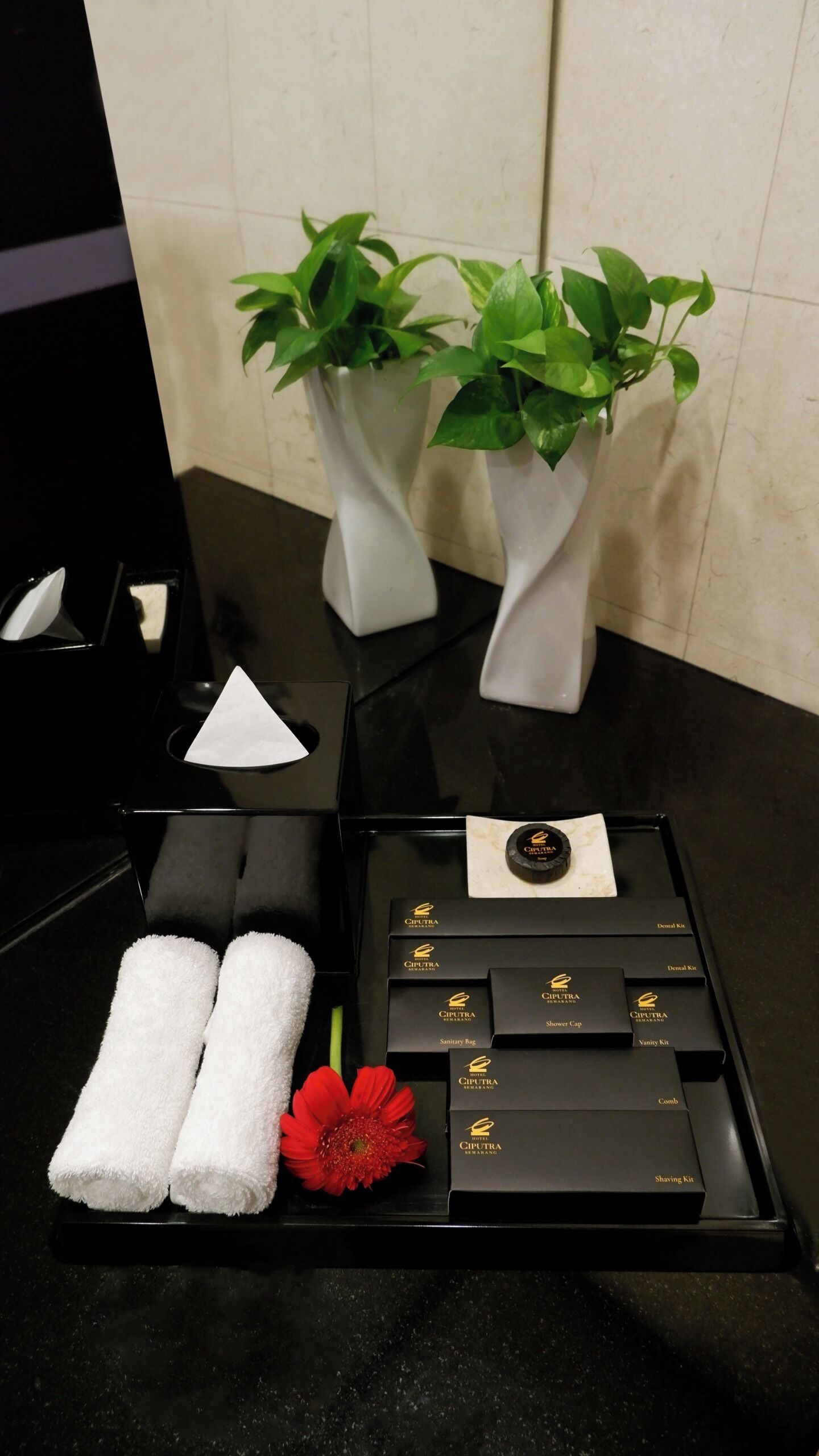 Une salle de bain d’hôtel avec un comptoir noir, deux vases blancs contenant des plantes vertes, un plateau noir avec des serviettes blanches, une fleur rouge et un ensemble de produits de toilette dans des boîtes noires.