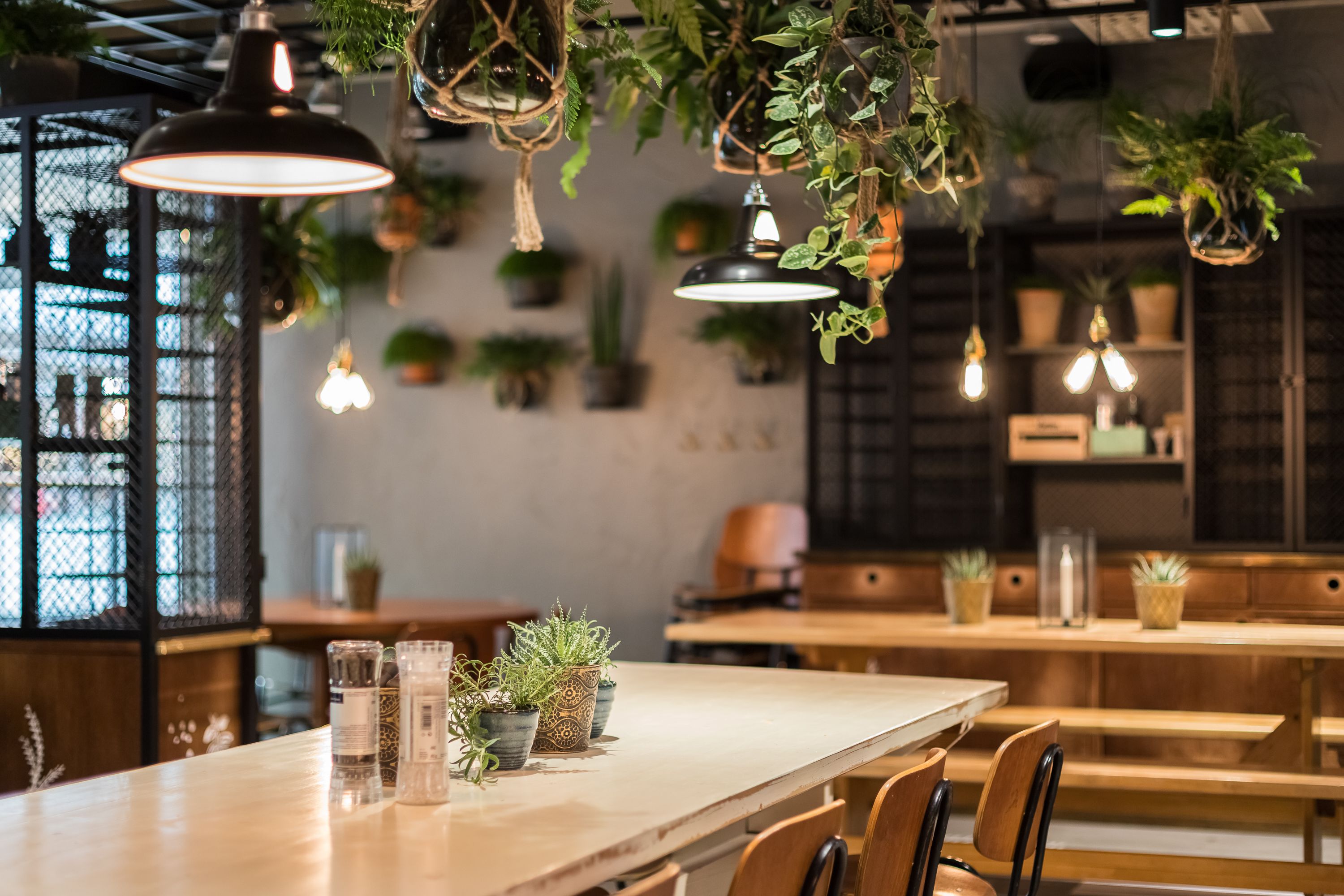 2 restaurants, lunch served, tex-mex cuisine