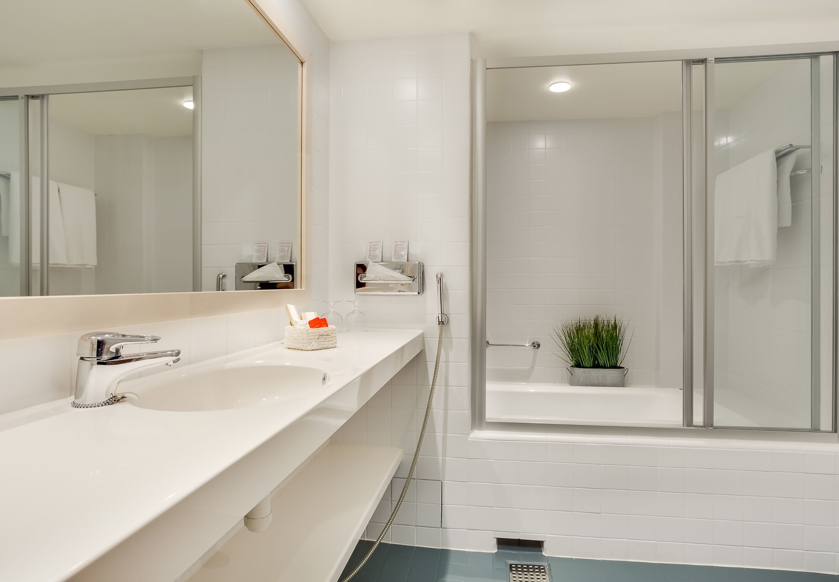 hair dryer, bidet, towels