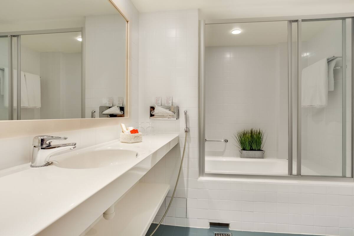 hair dryer, bidet, towels