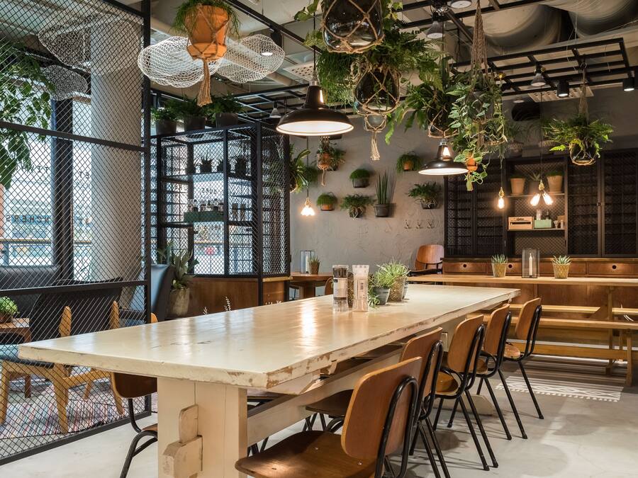 2 restaurants, lunch served, Tex-Mex cuisine