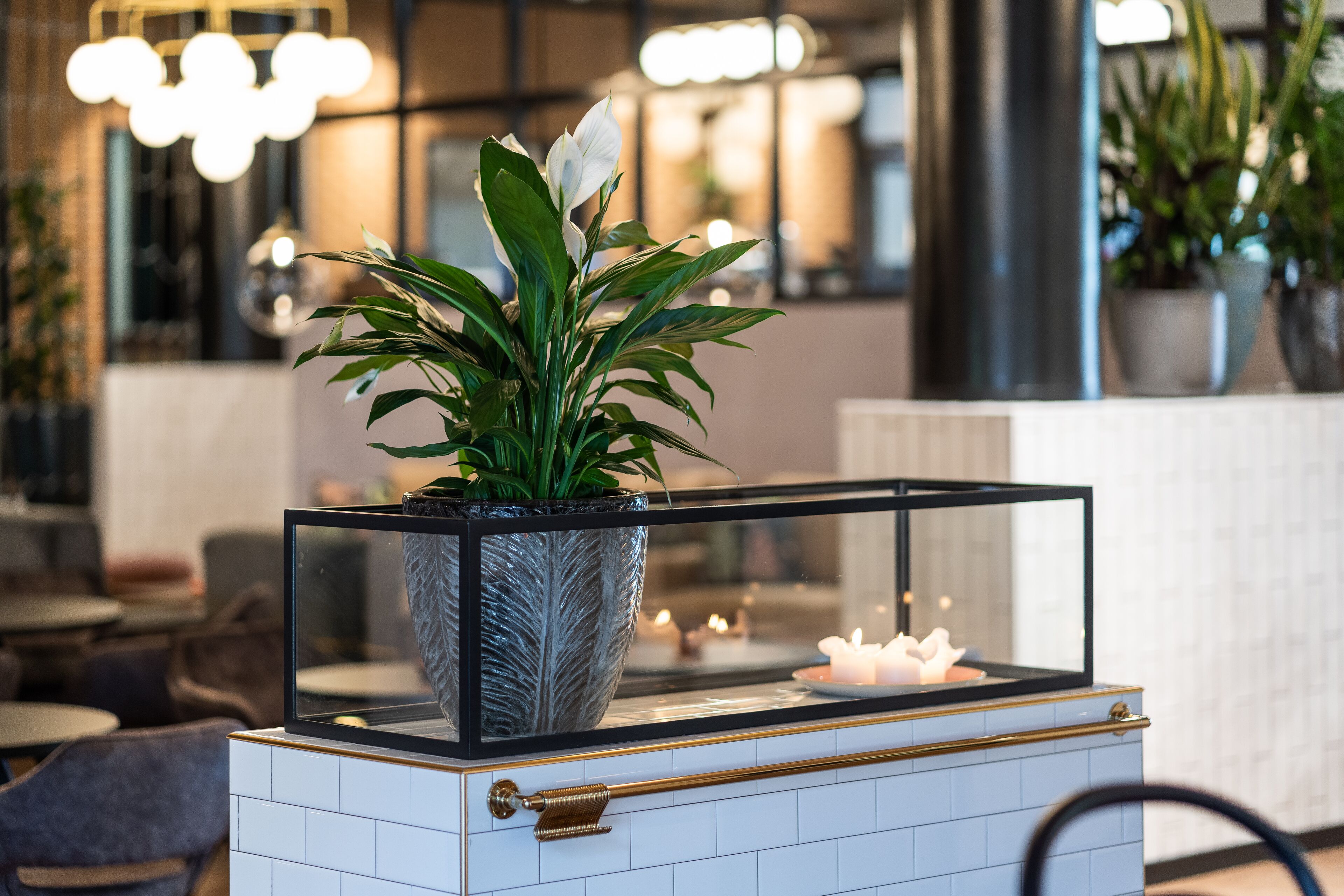 breakfast, lunch, dinner served; french cuisine