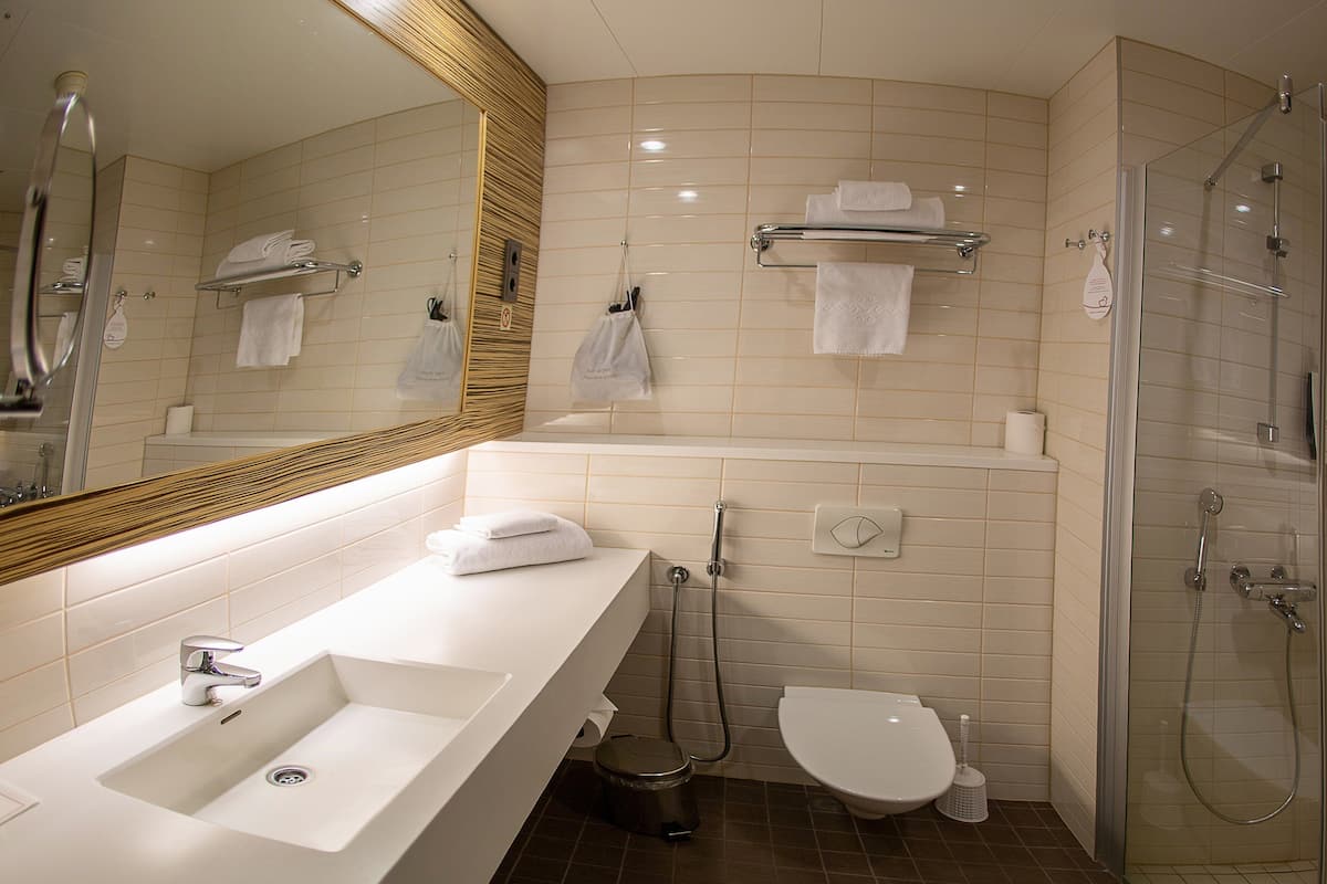 shower, hair dryer, bidet, towels