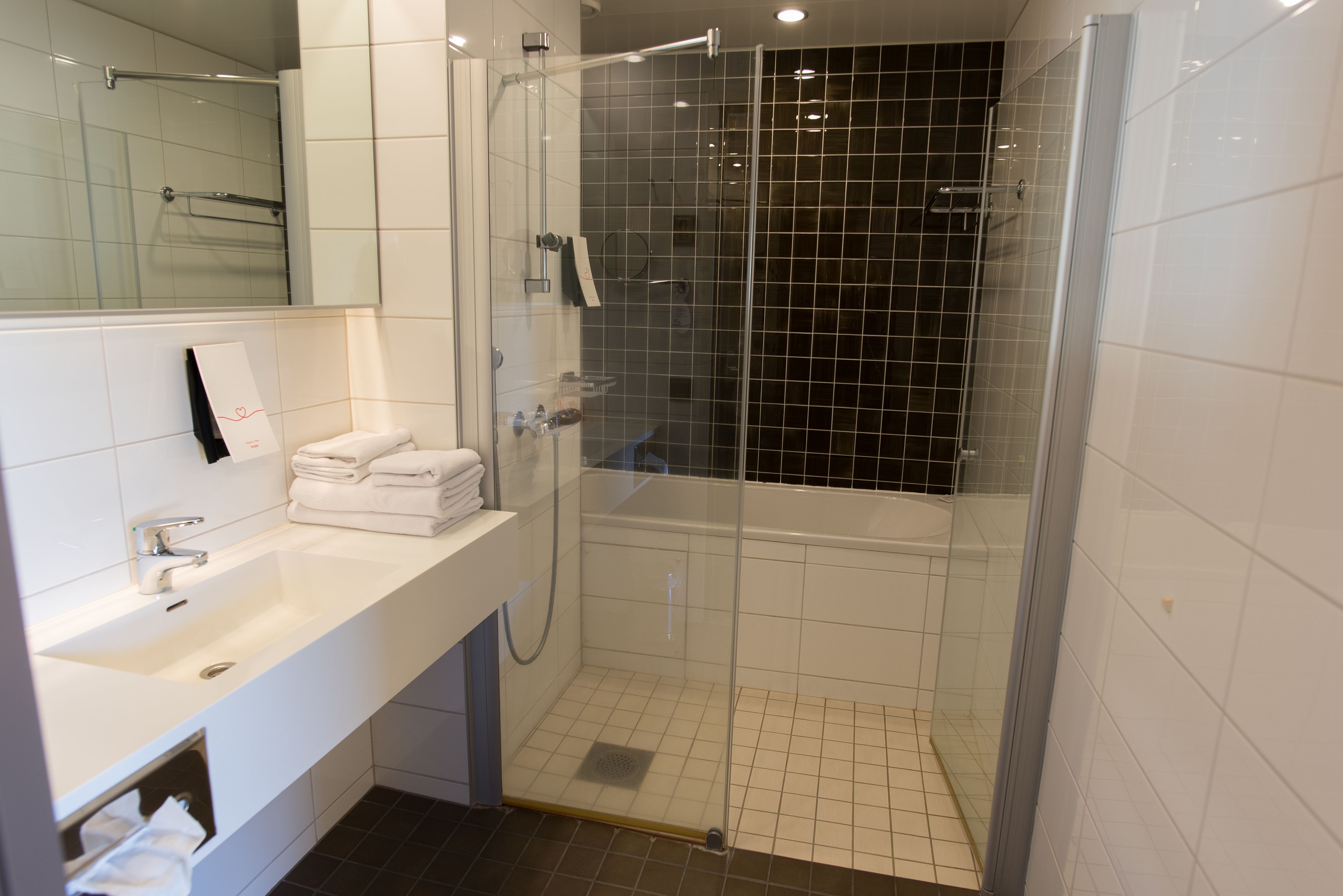 hair dryer, bidet, towels