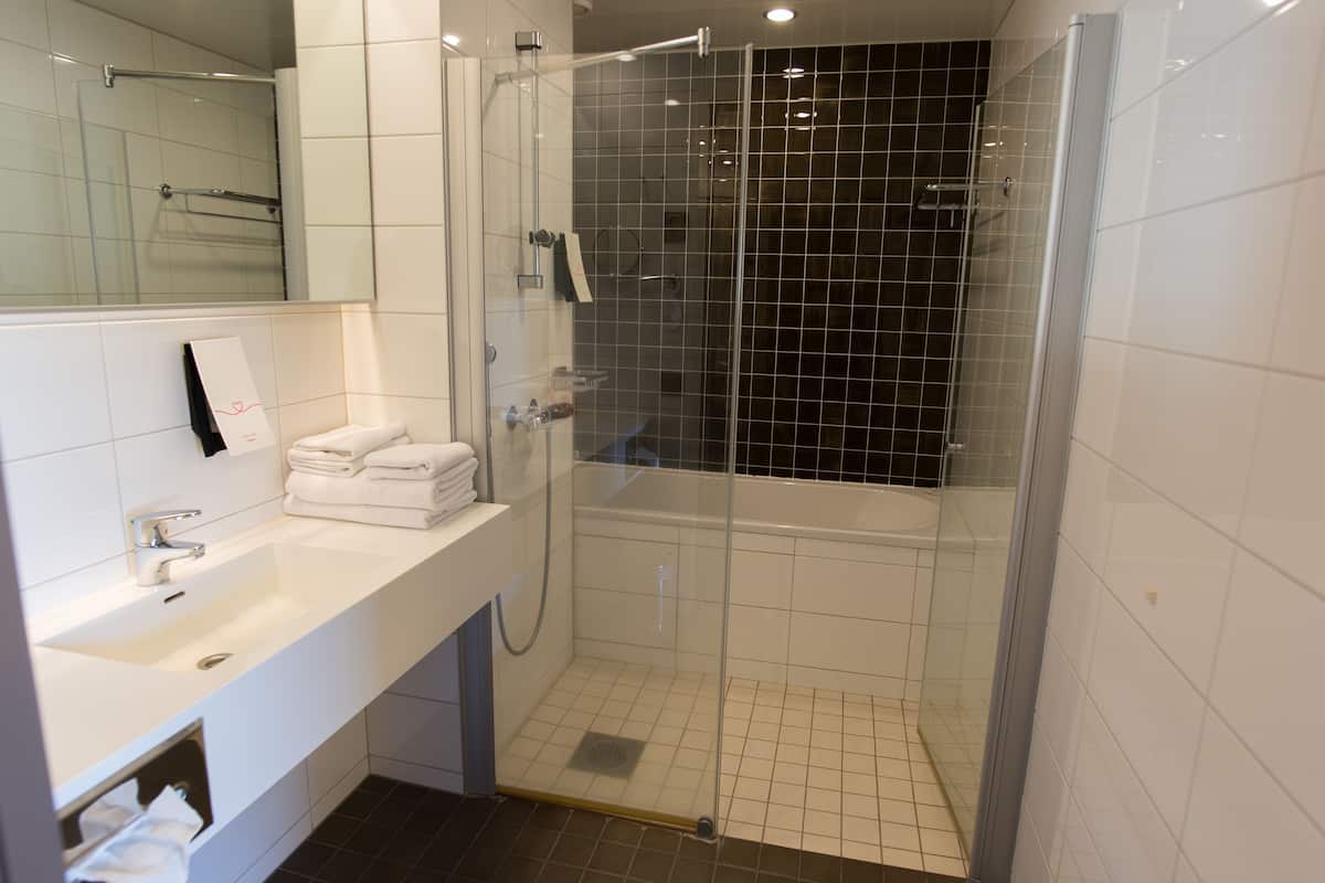 hair dryer, bidet, towels