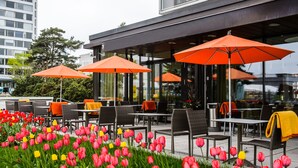 Espace extérieur aménagé avec des parasols orange, des tables et des chaises, le tout entouré d’un jardin de tulipes rouges et jaunes.
