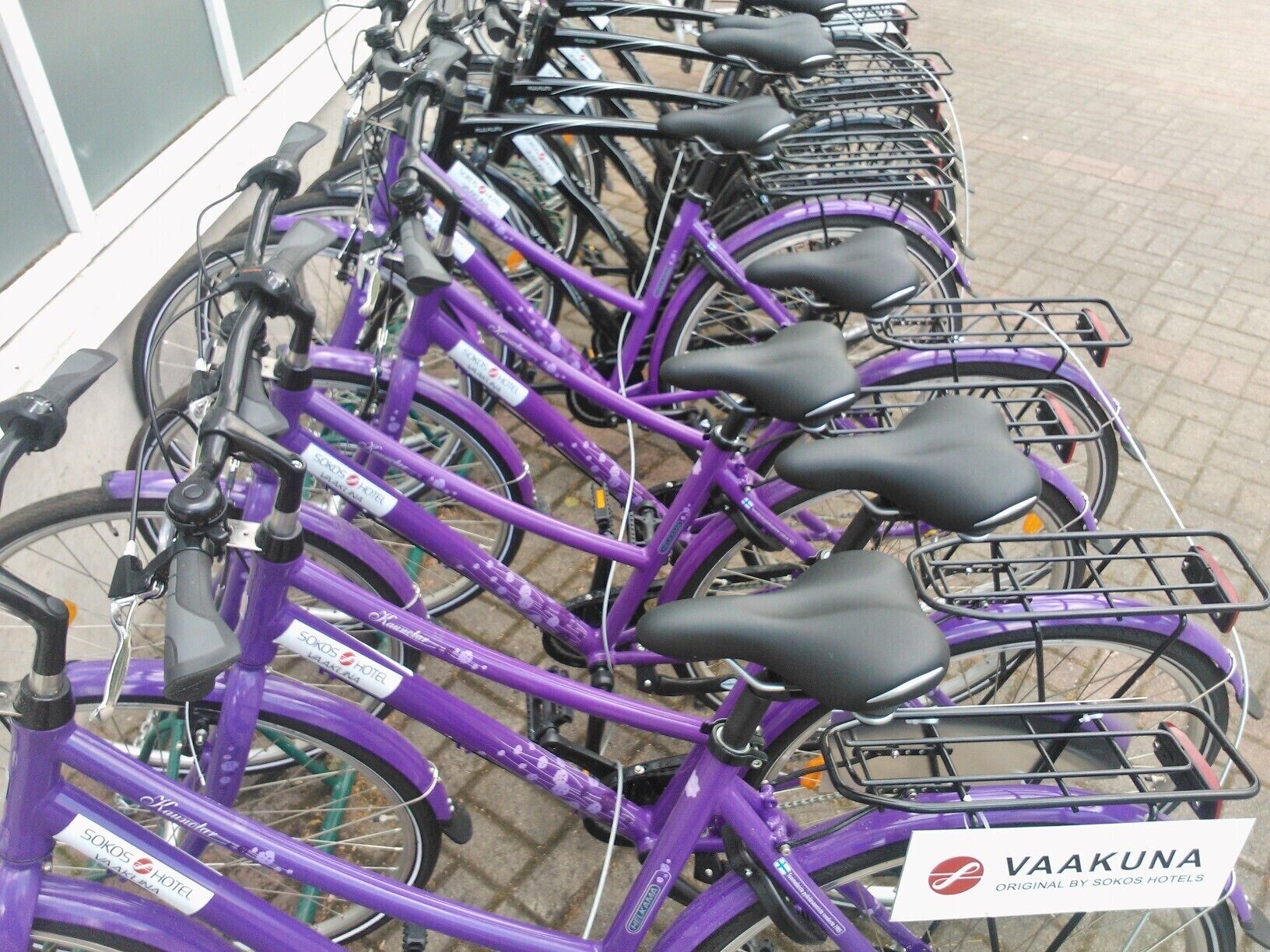 Une rangée de vélos violets, chacun muni d’un panier, est garée devant un immeuble.