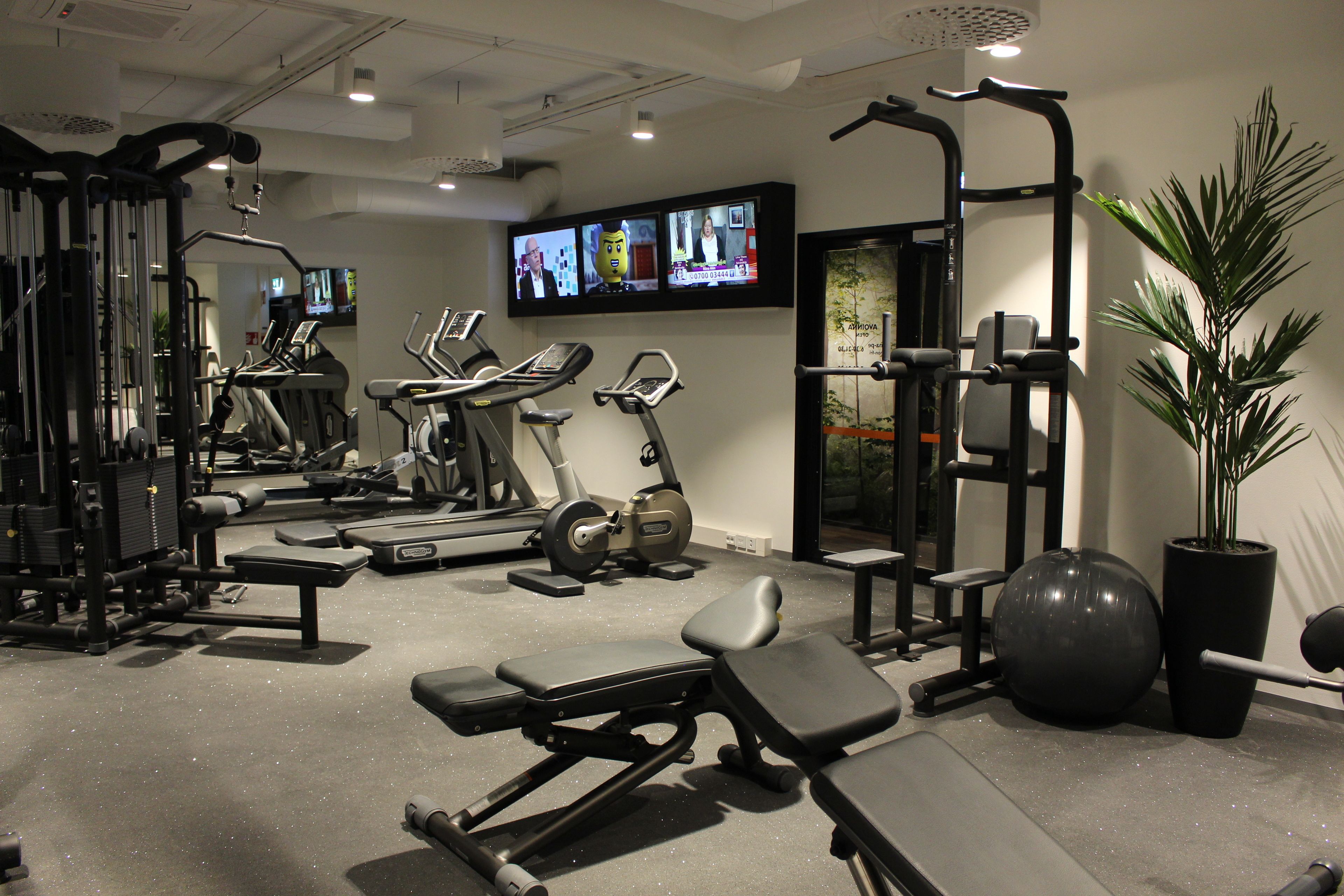 Une salle de sport équipée de divers appareils d’exercice, avec un téléviseur fixé au mur et une plante en pot.