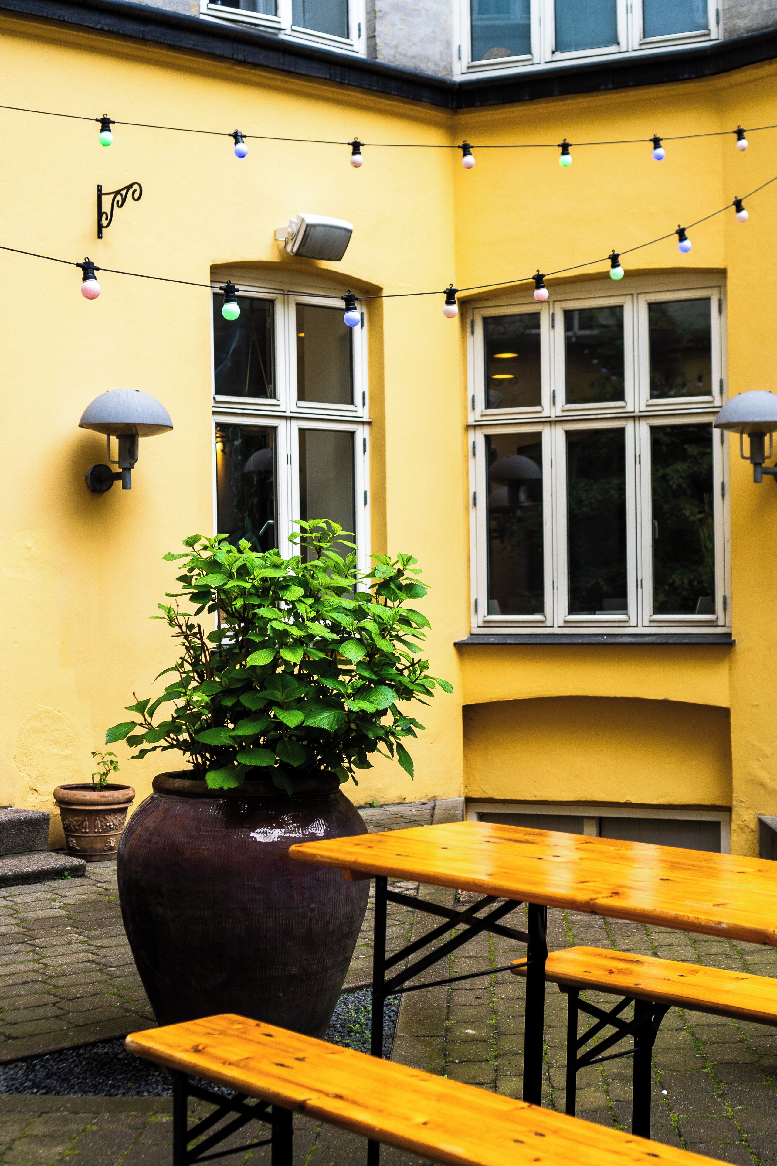 Foto - Good Morning City Copenhagen Star