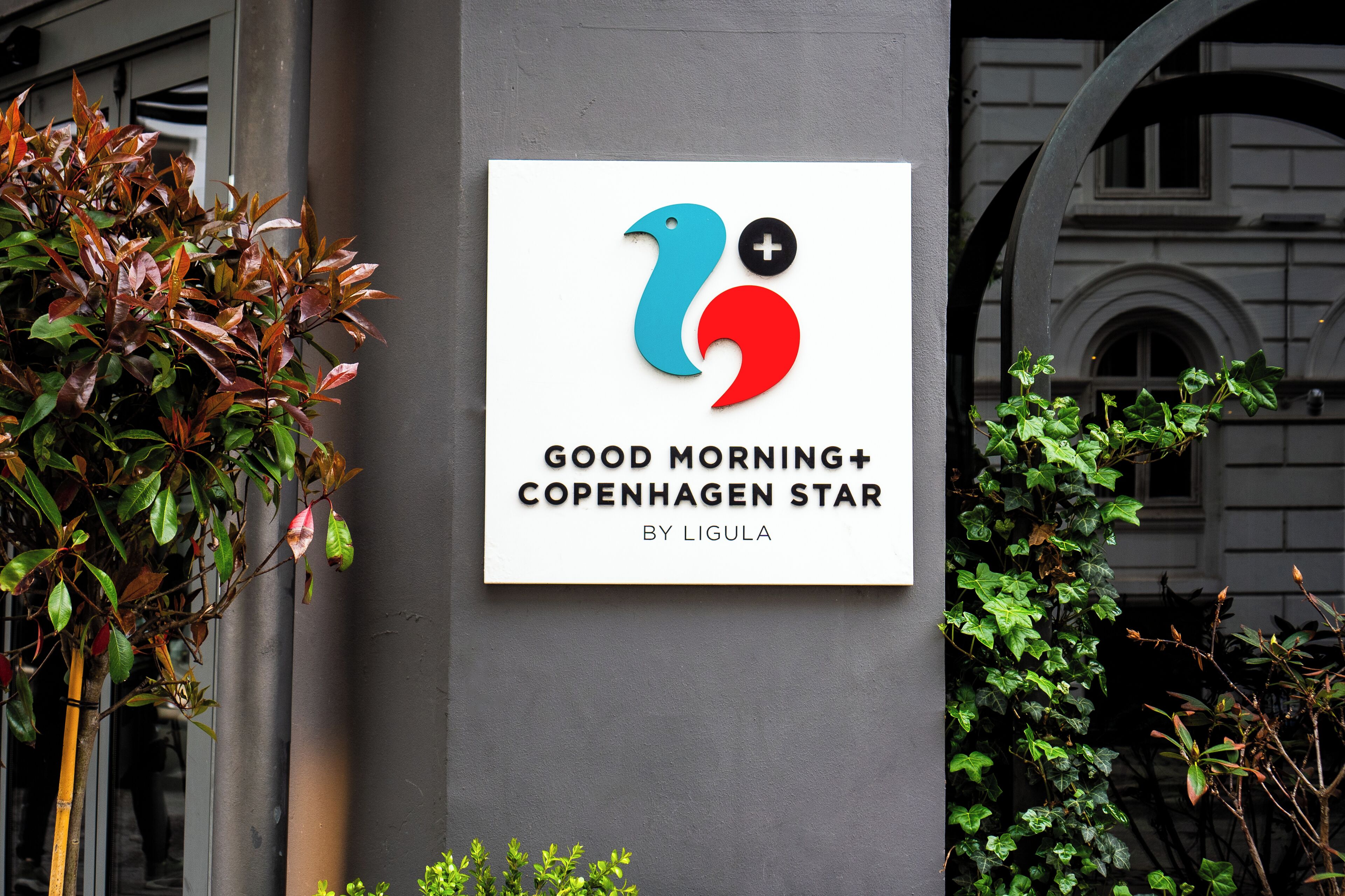 Foto - Good Morning City Copenhagen Star