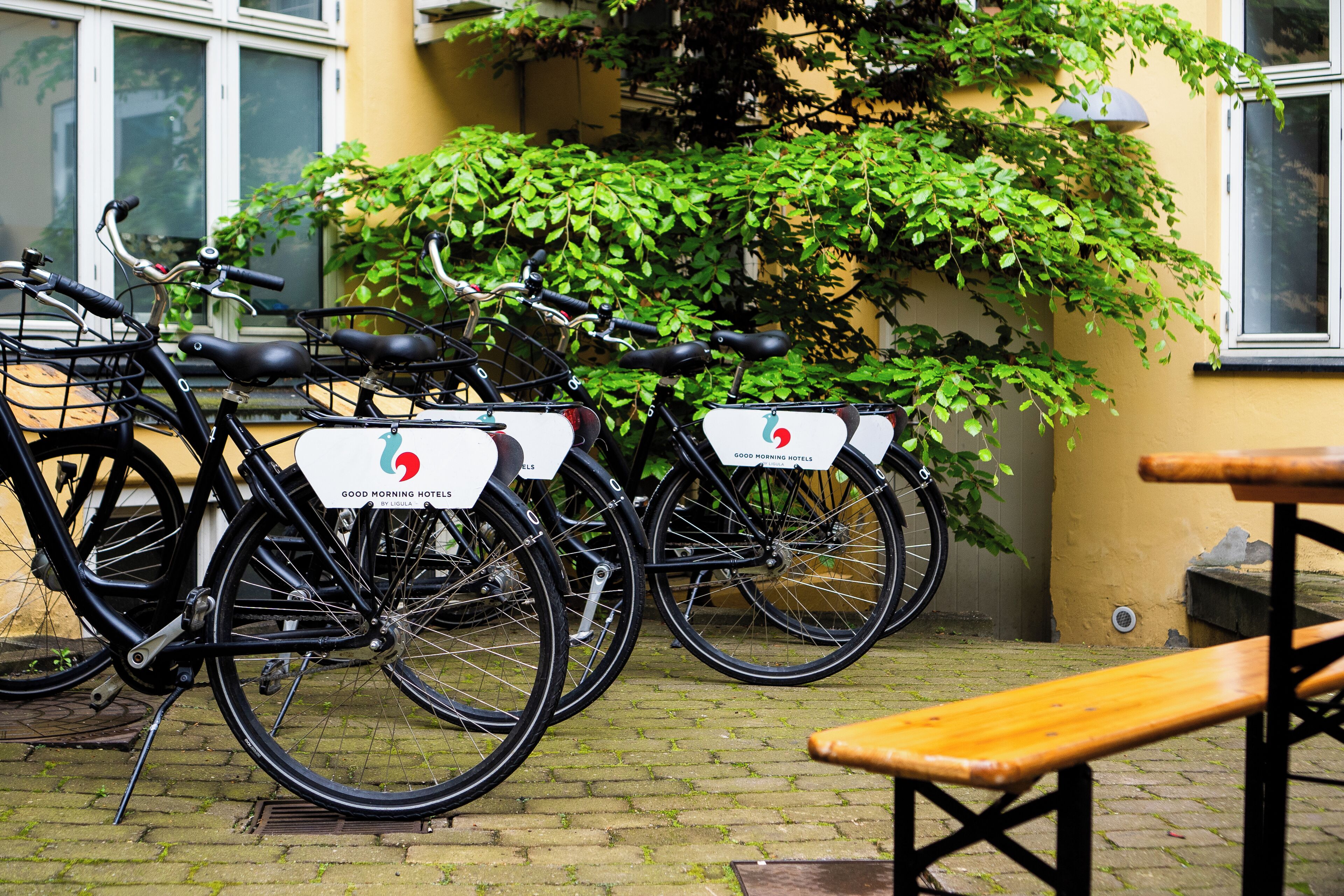 Foto - Good Morning City Copenhagen Star