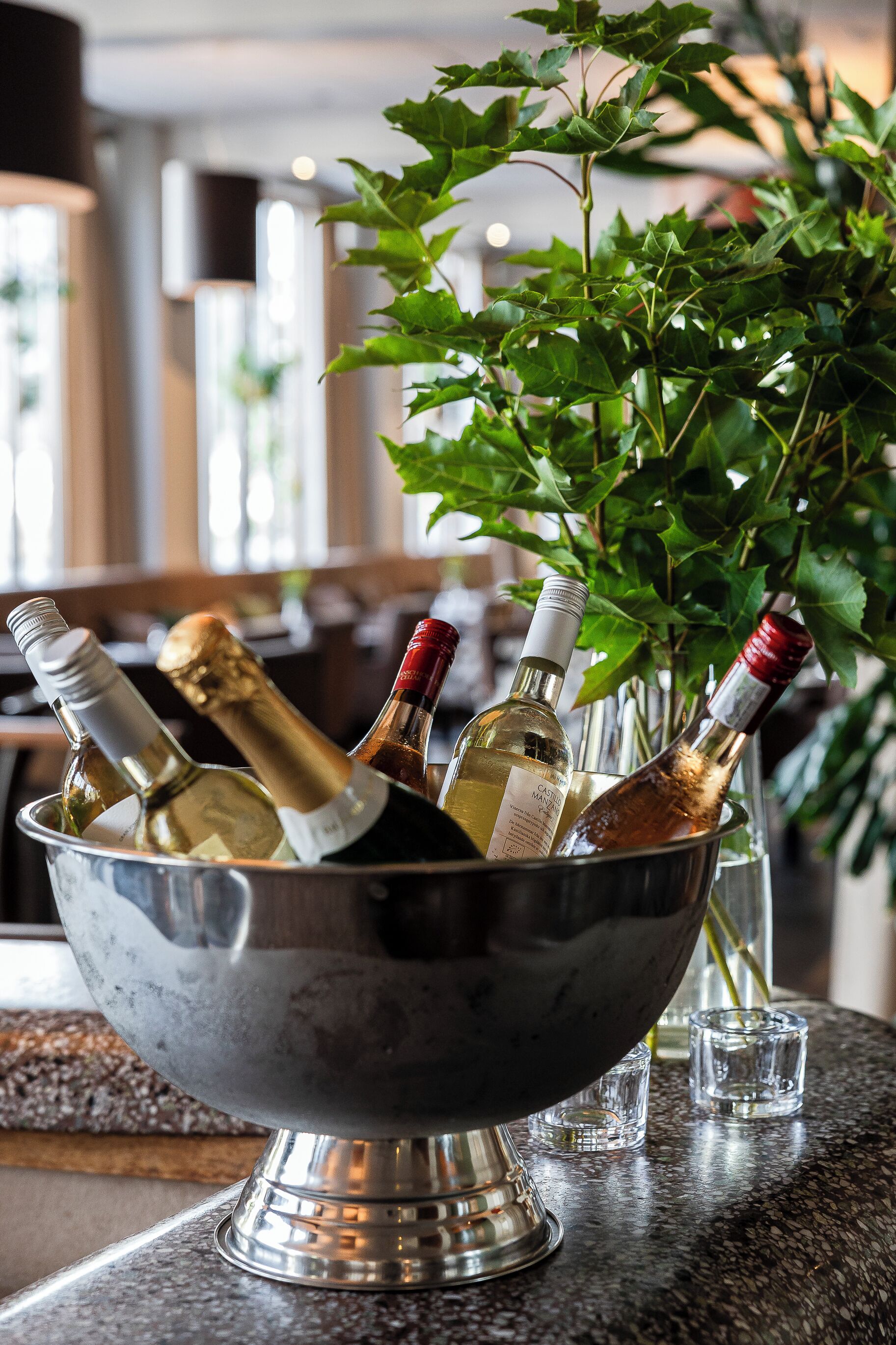 A metal bowl containing several bottles of wine, placed on a countertop with a plant in the background.