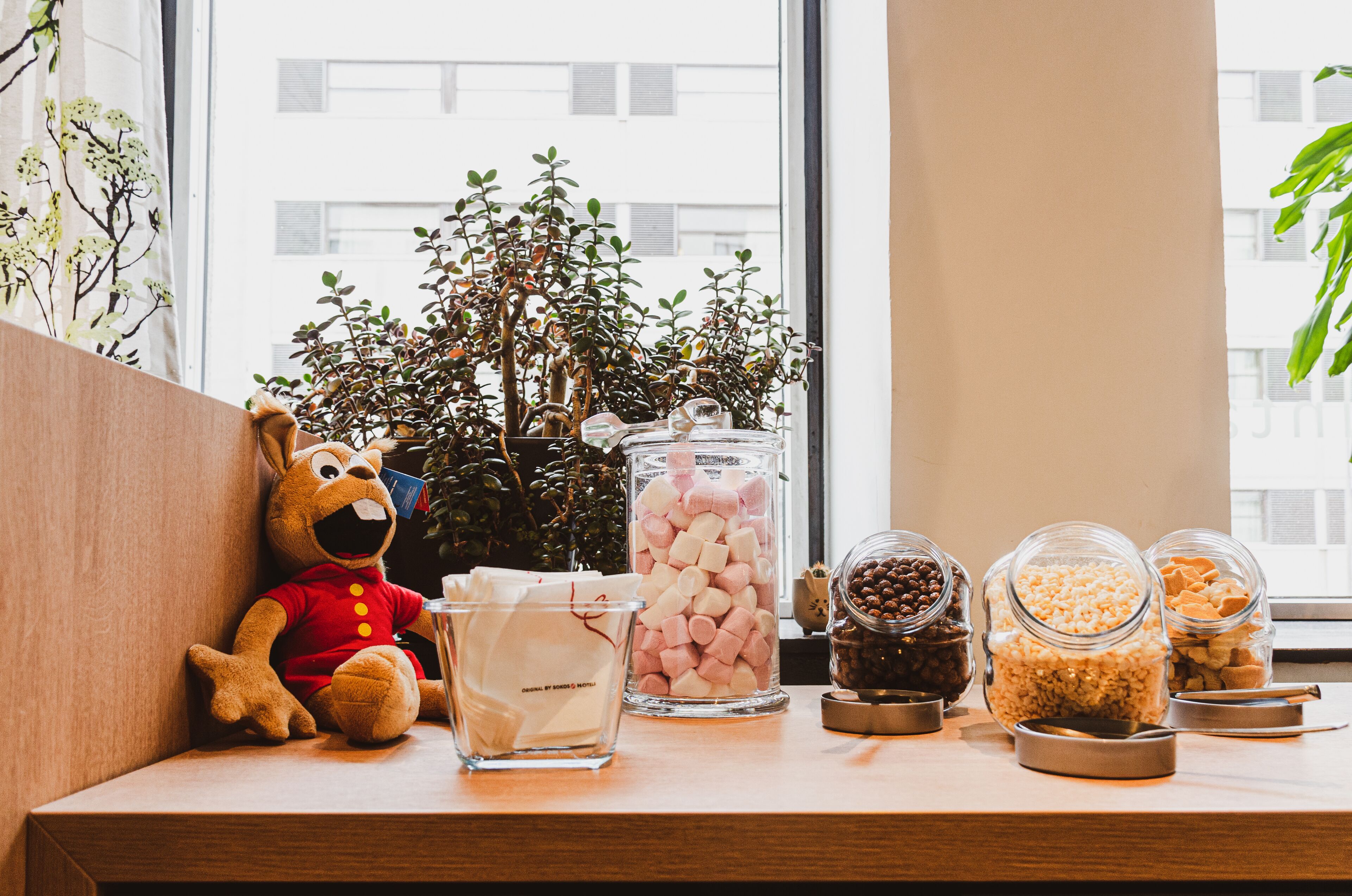 A window ledge with a plush toy, a potted plant, and jars of snacks.
